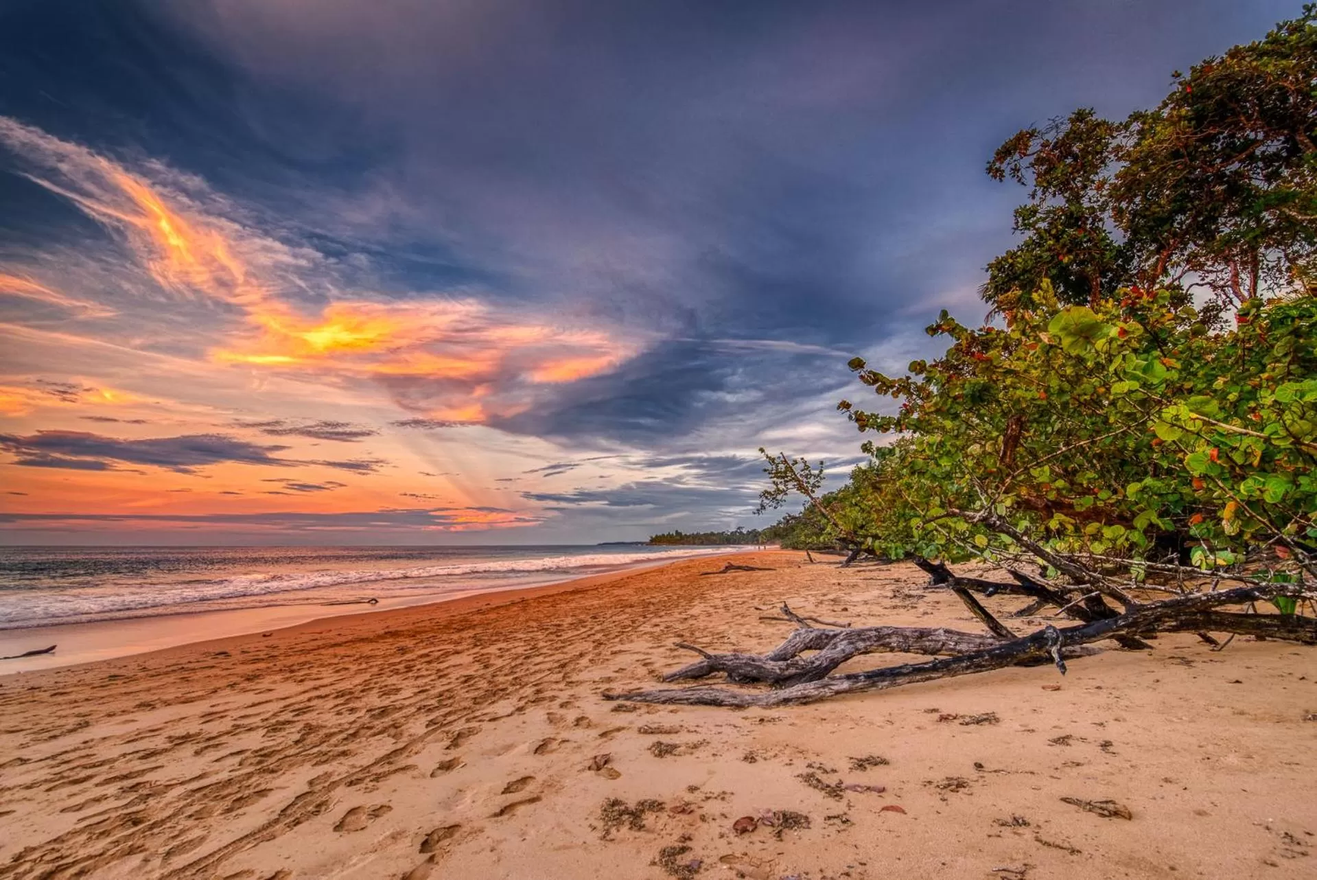 Natural landscape in Oasis Bluff Beach