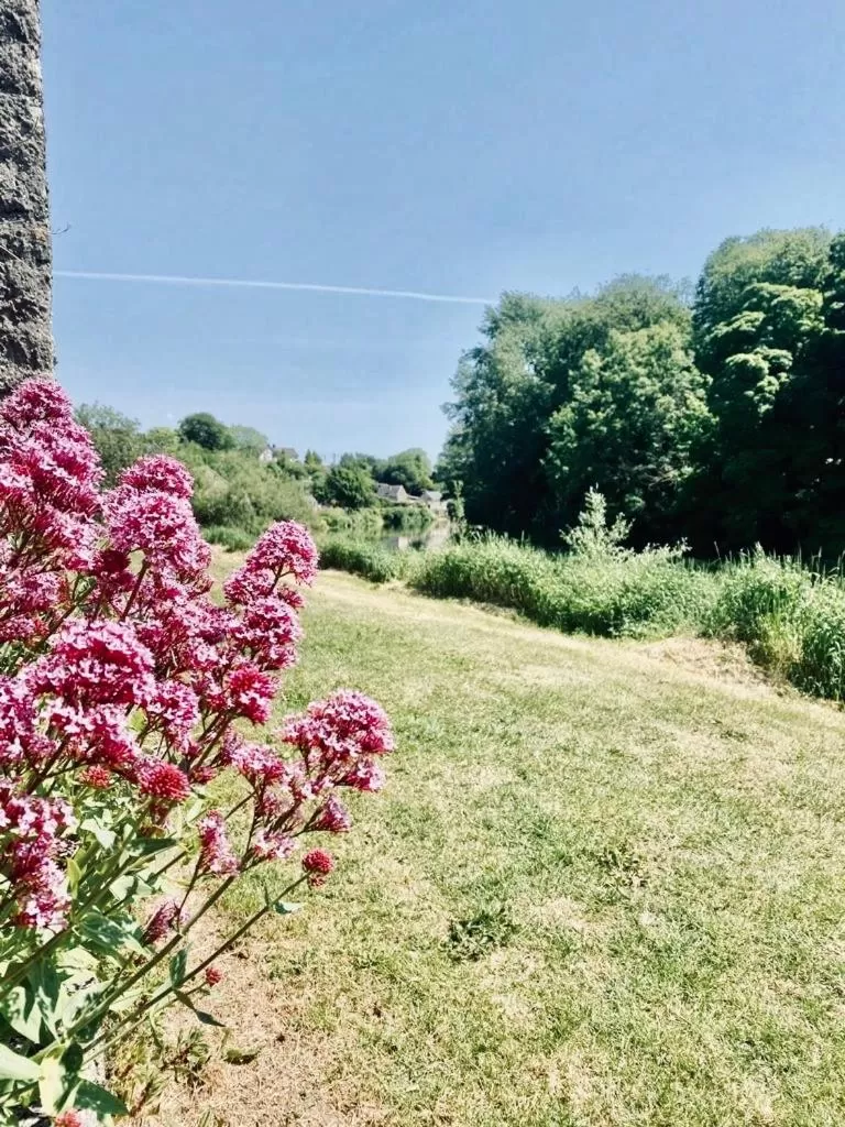 Neighbourhood in The Tower House B&B