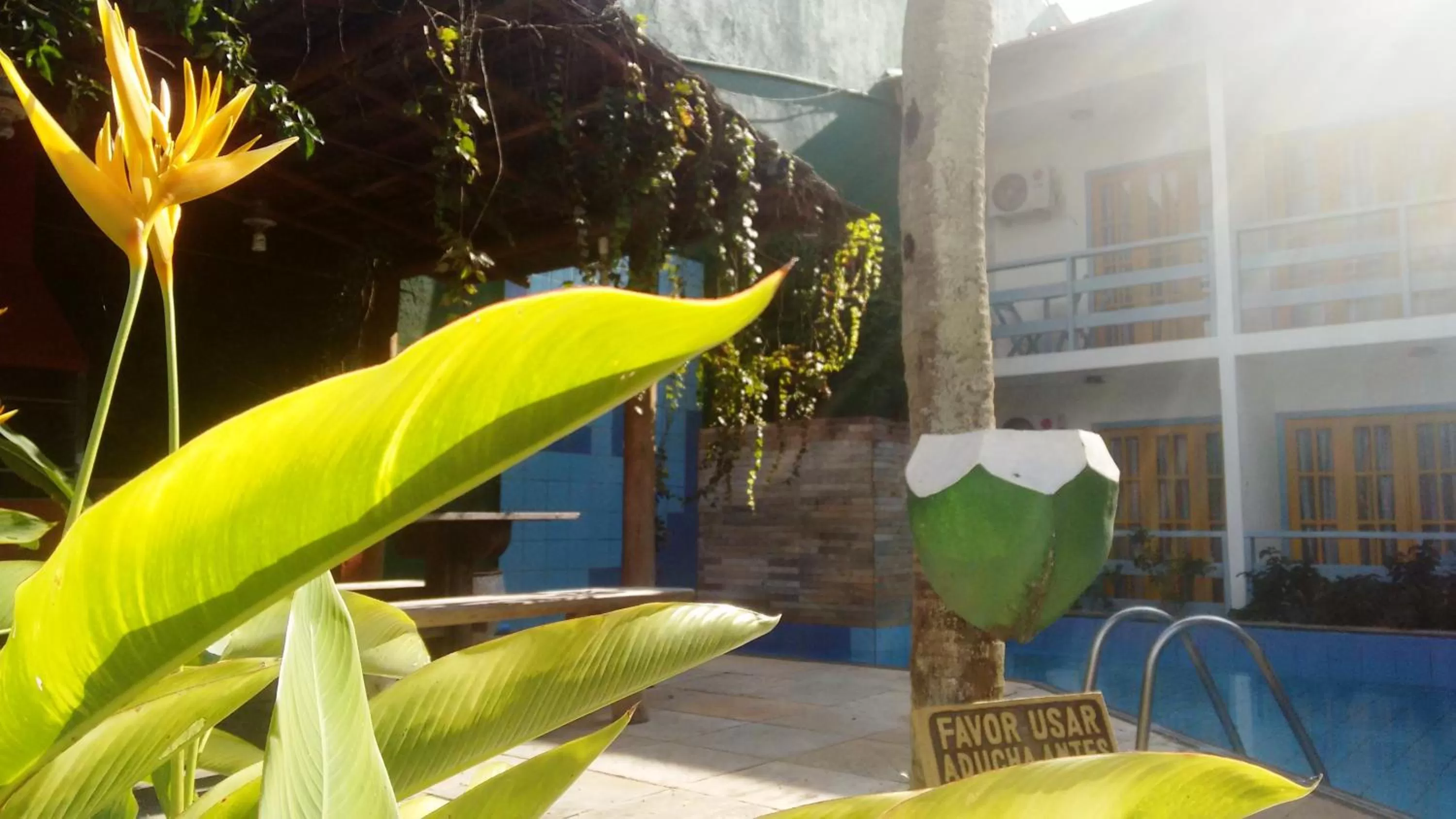 Patio in Hotel Estalagem Porto Seguro