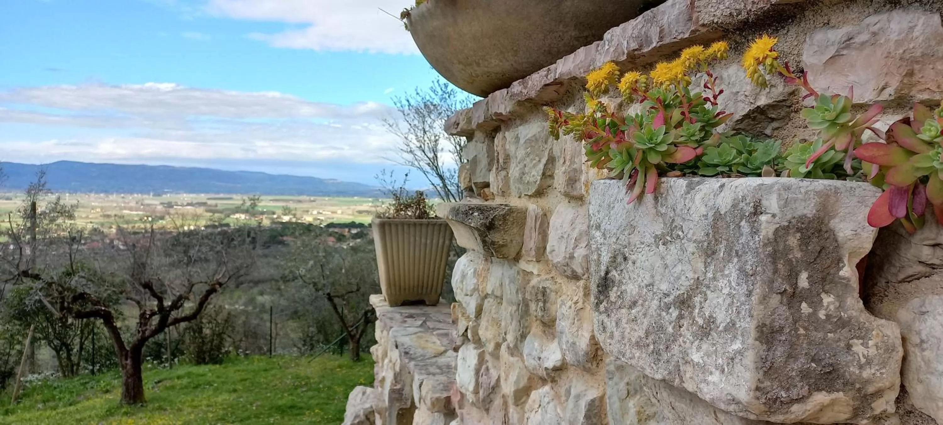 Domus Antiqua Bed & Breakfast