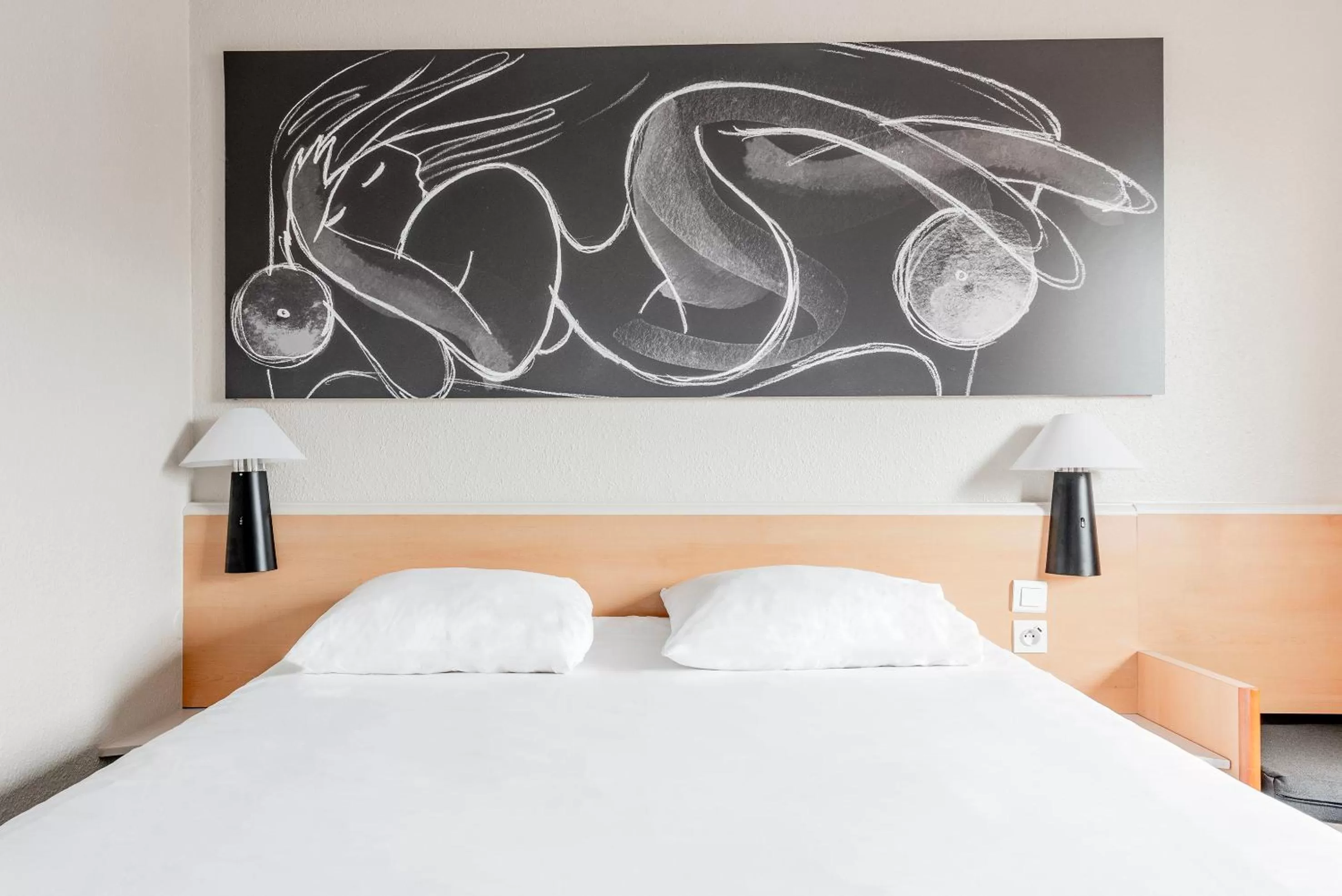 Standard Double Room in ibis Toulouse Université