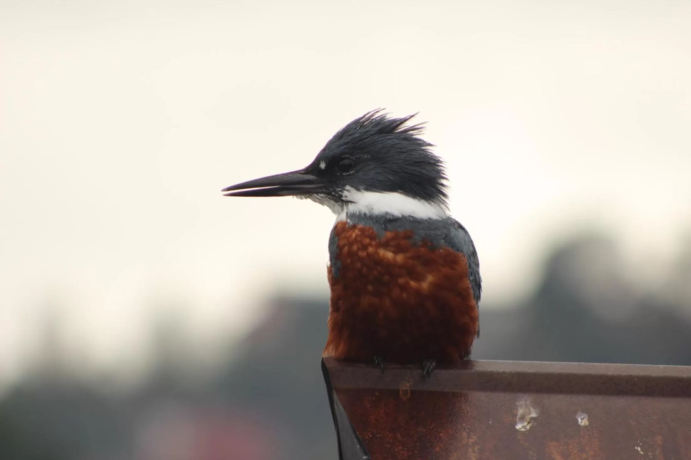 Other in Palafito 1326 Hotel Boutique Chiloé