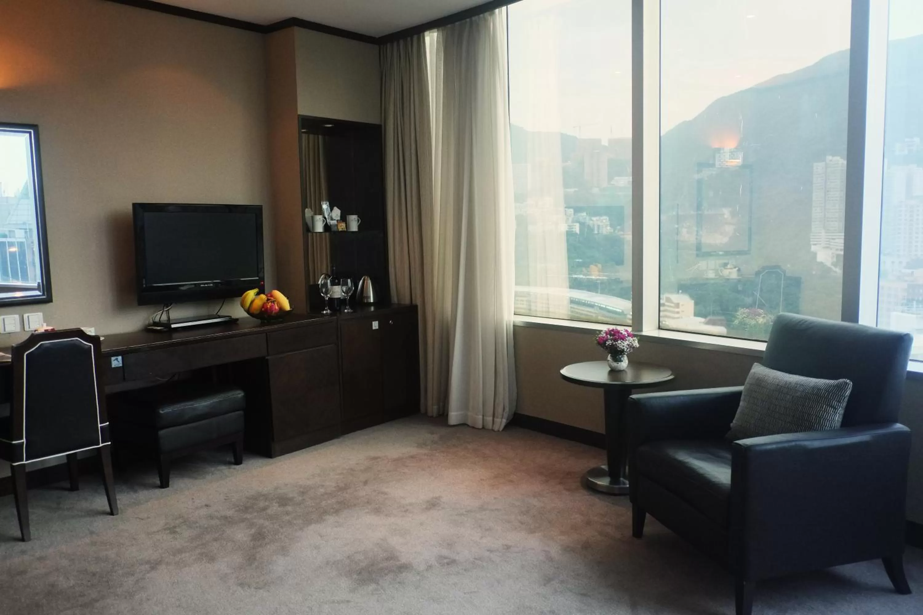 View (from property/room) in South Pacific Hotel