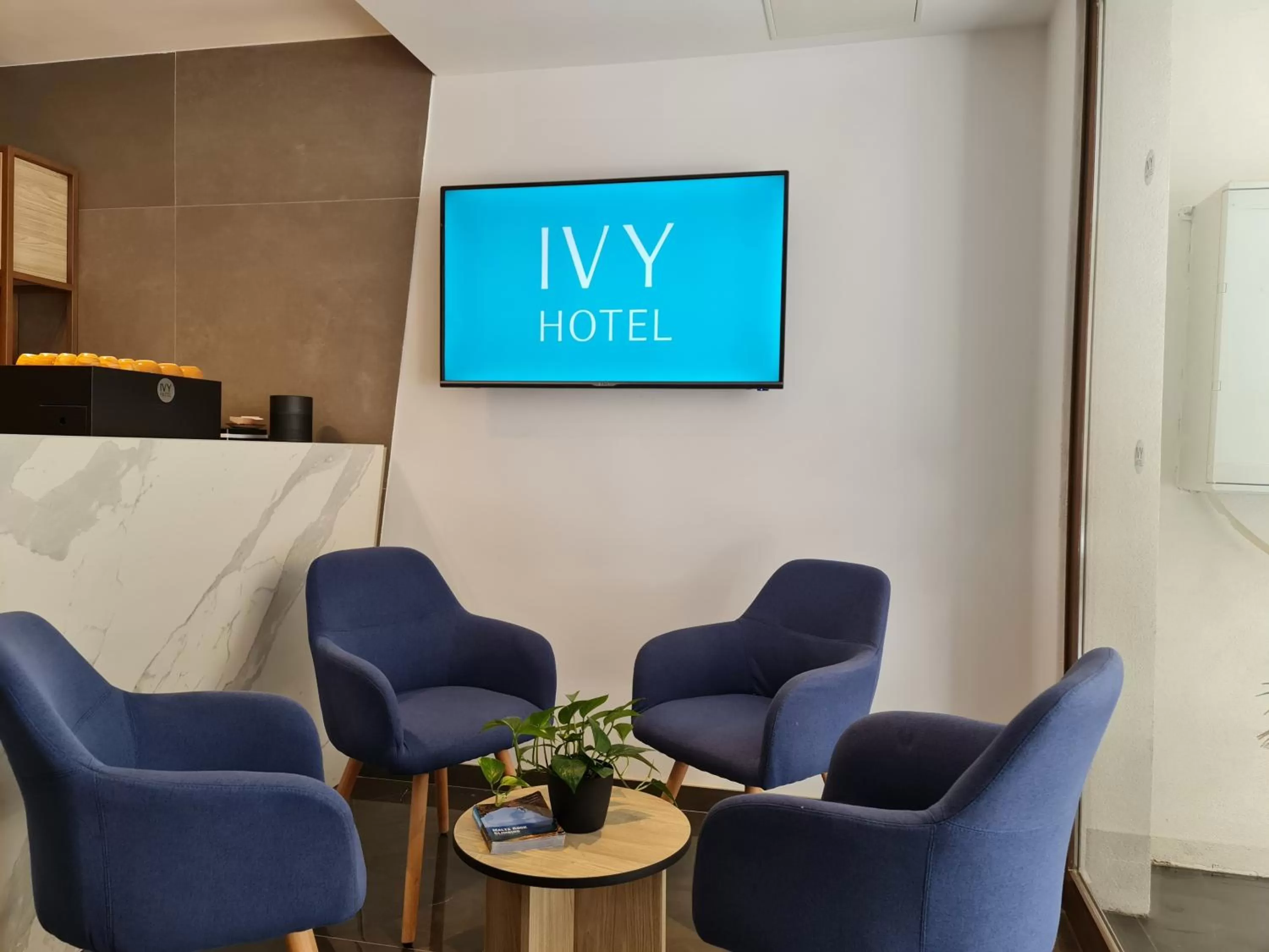 Lobby or reception in Ivy Hotel - Adults Only