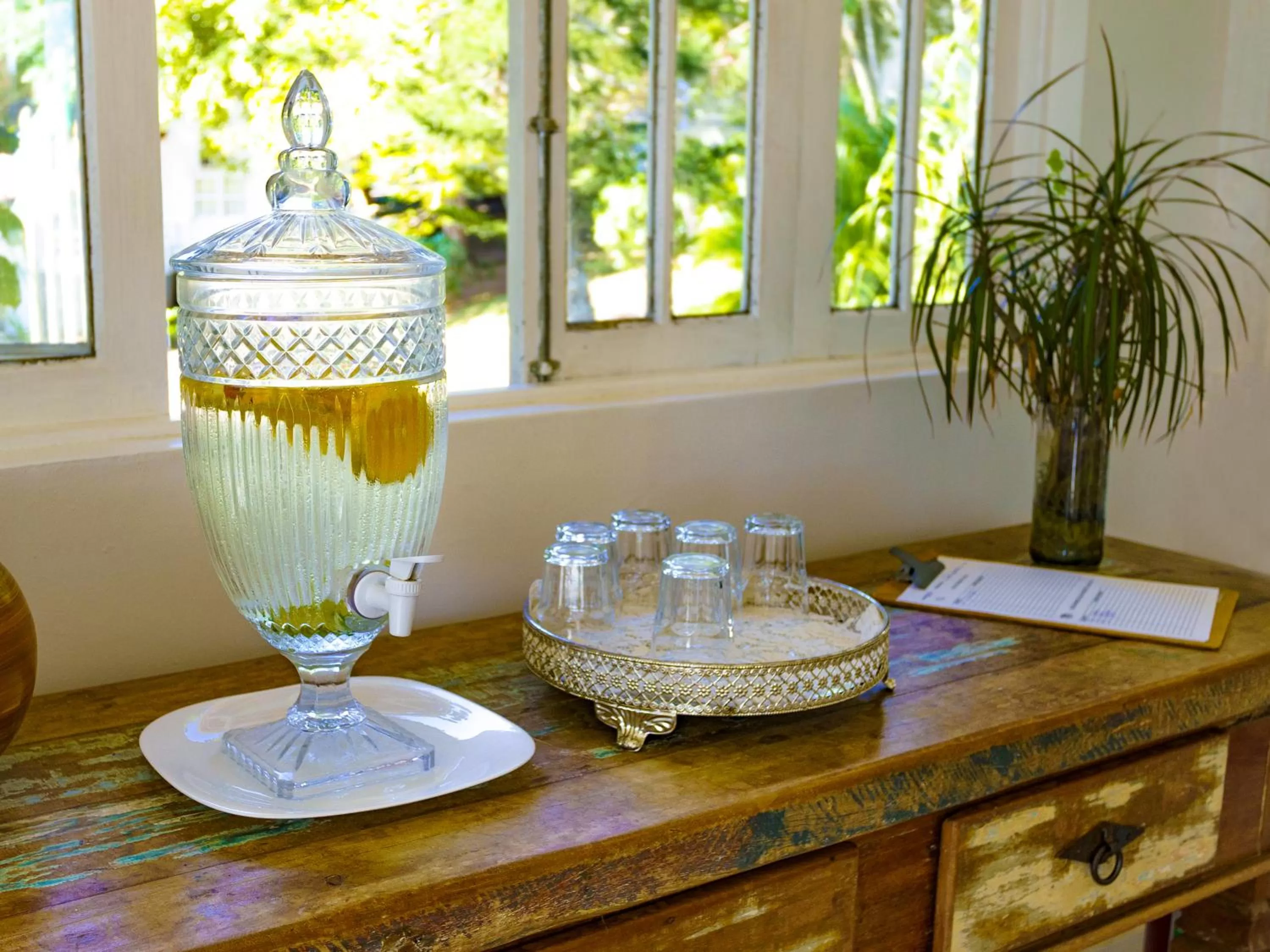 Decorative detail in Apa Pau Brasil