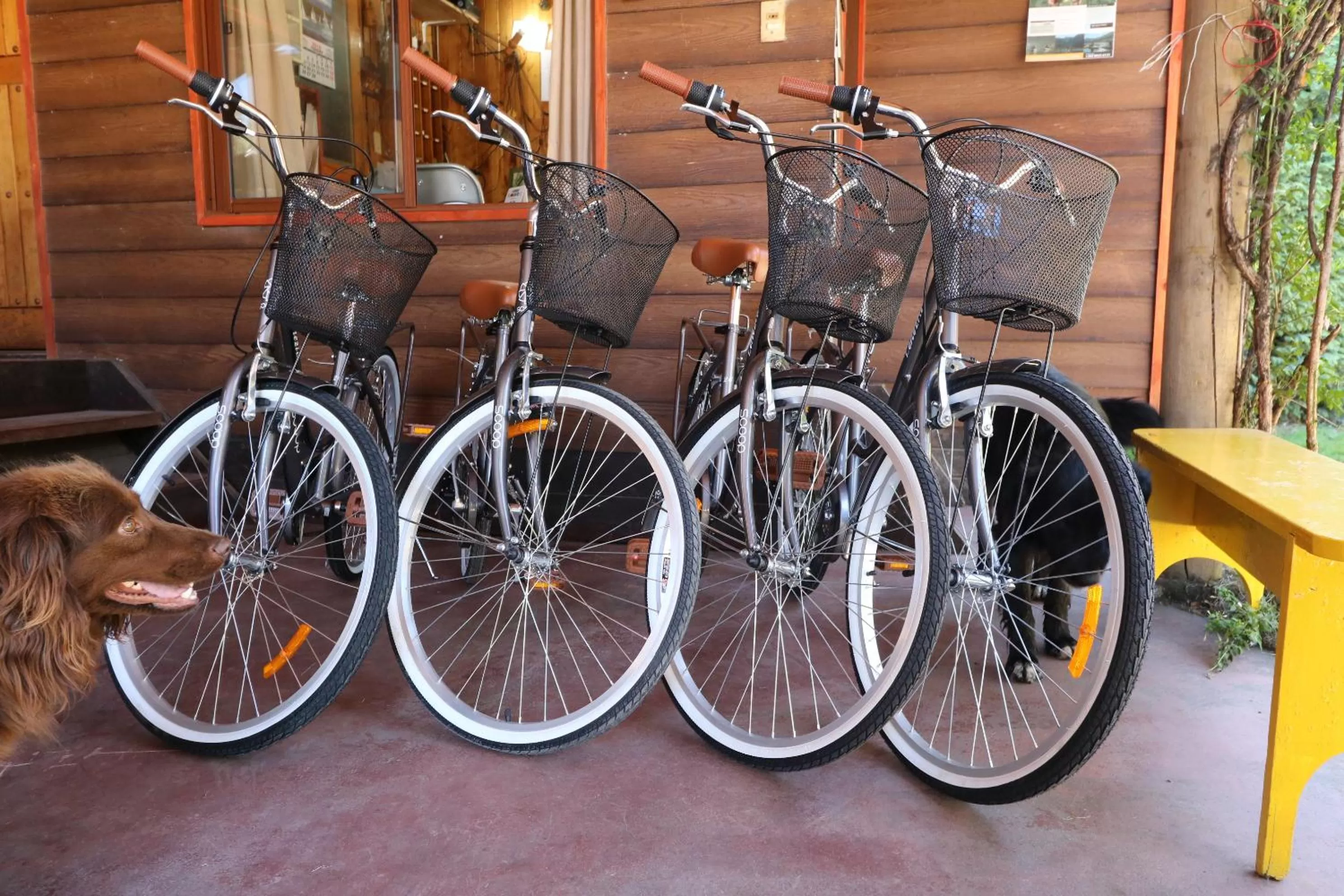 Cycling in Santa Maria Pucon