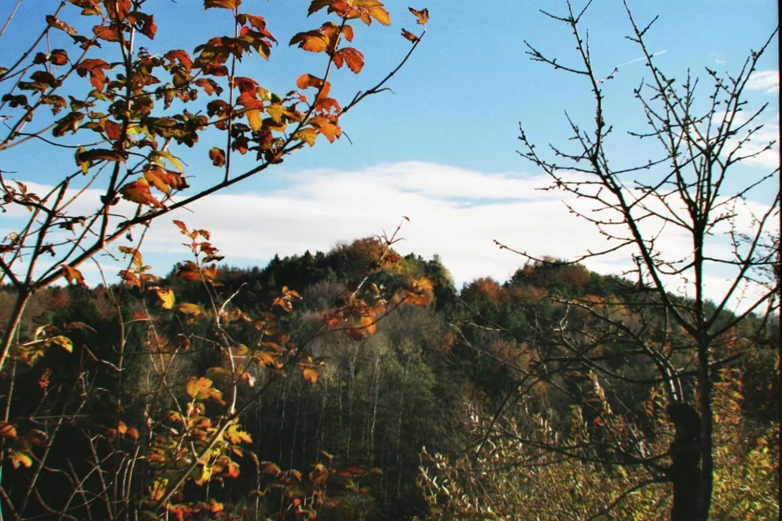 Landhaus Waldfrieden
