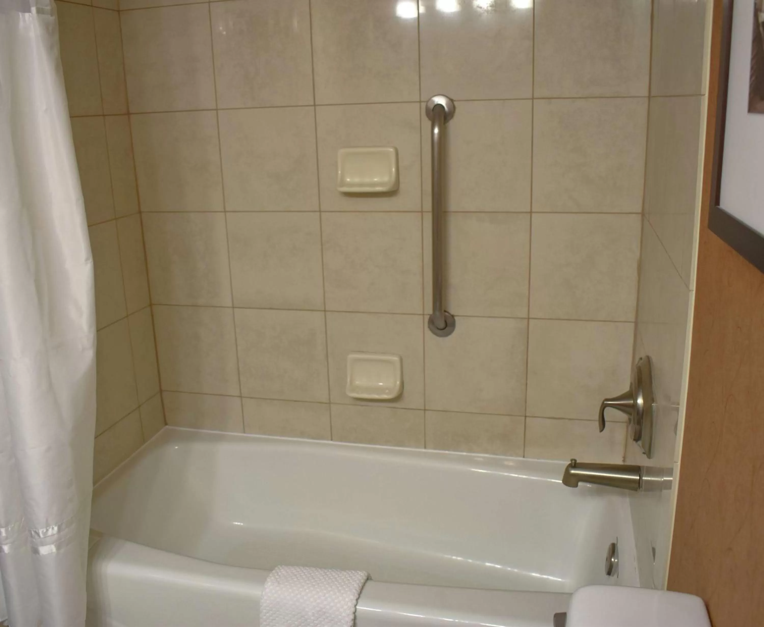 Bathroom in DoubleTree by Hilton Biltmore/Asheville