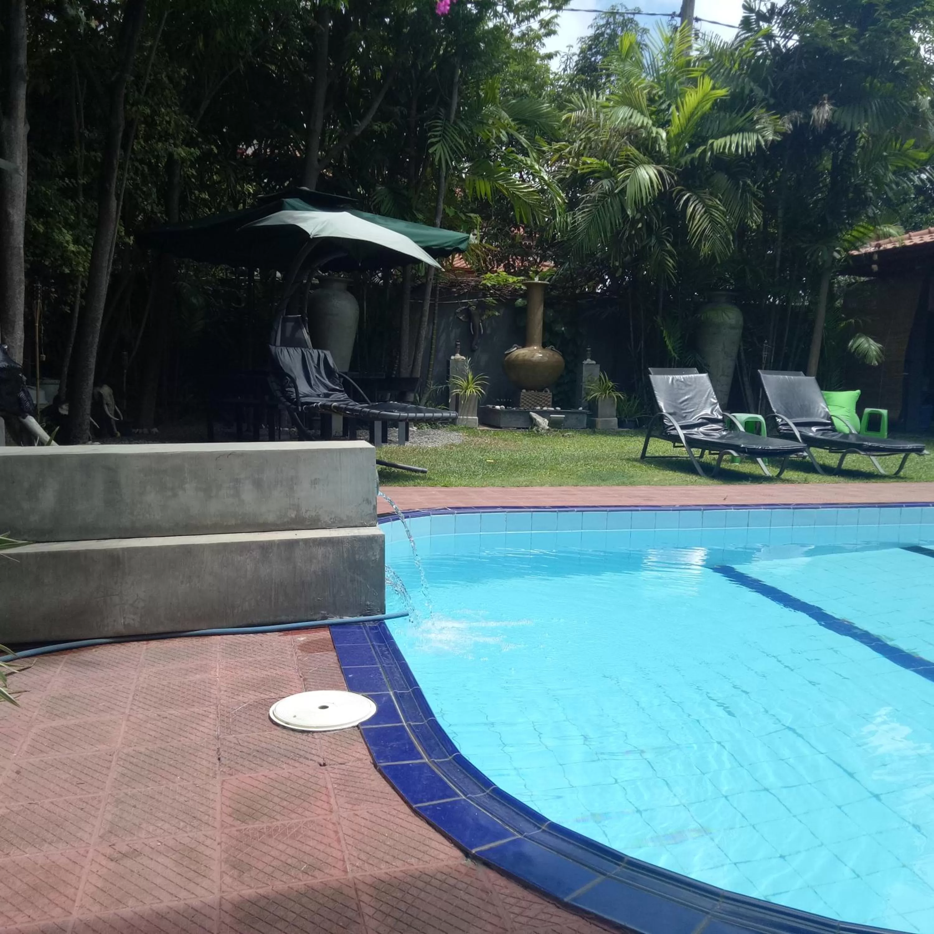 Swimming pool in Palms Villa