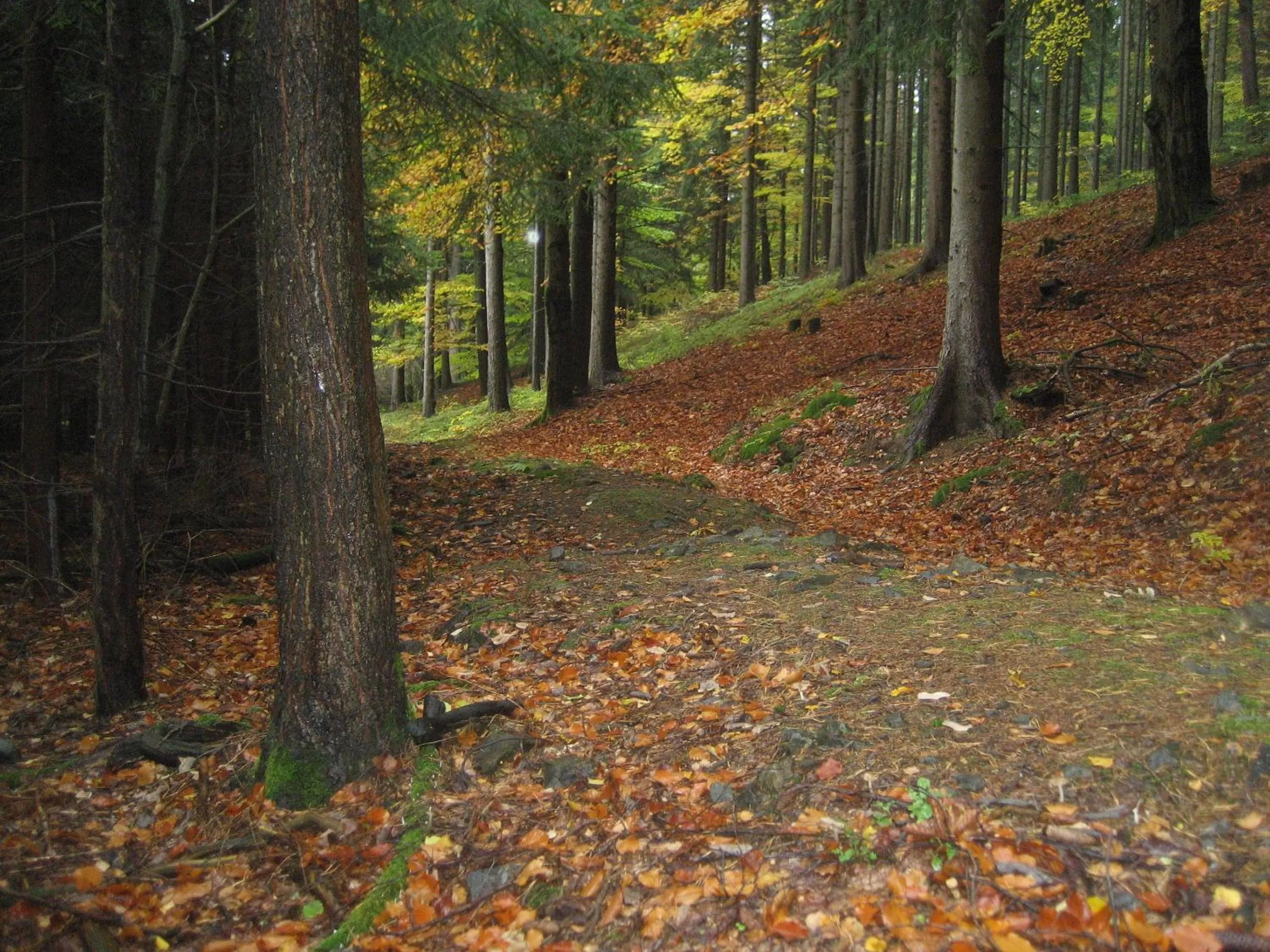 Other in B&B À la montagne
