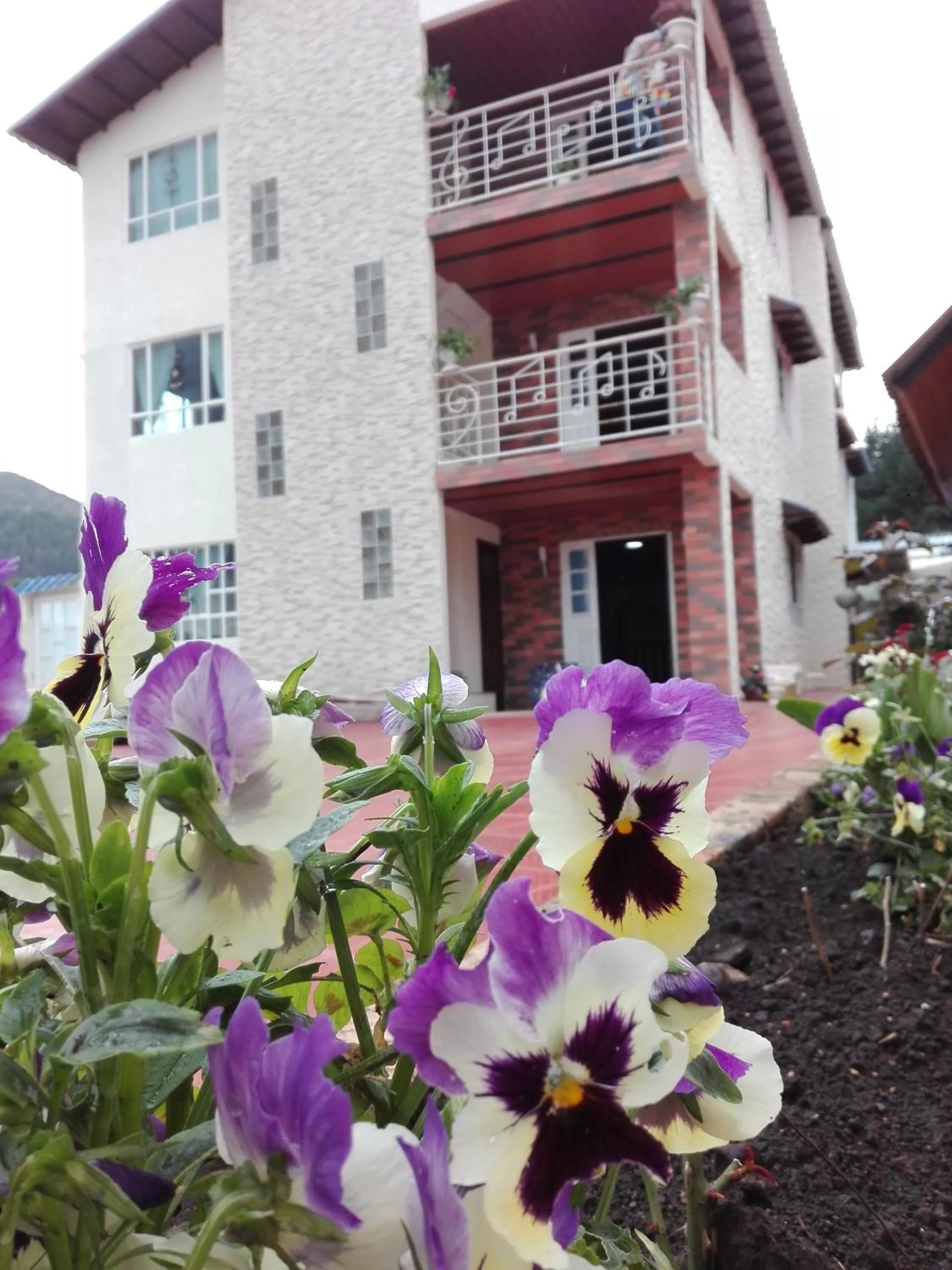 Portal de la Cascada - Mongui