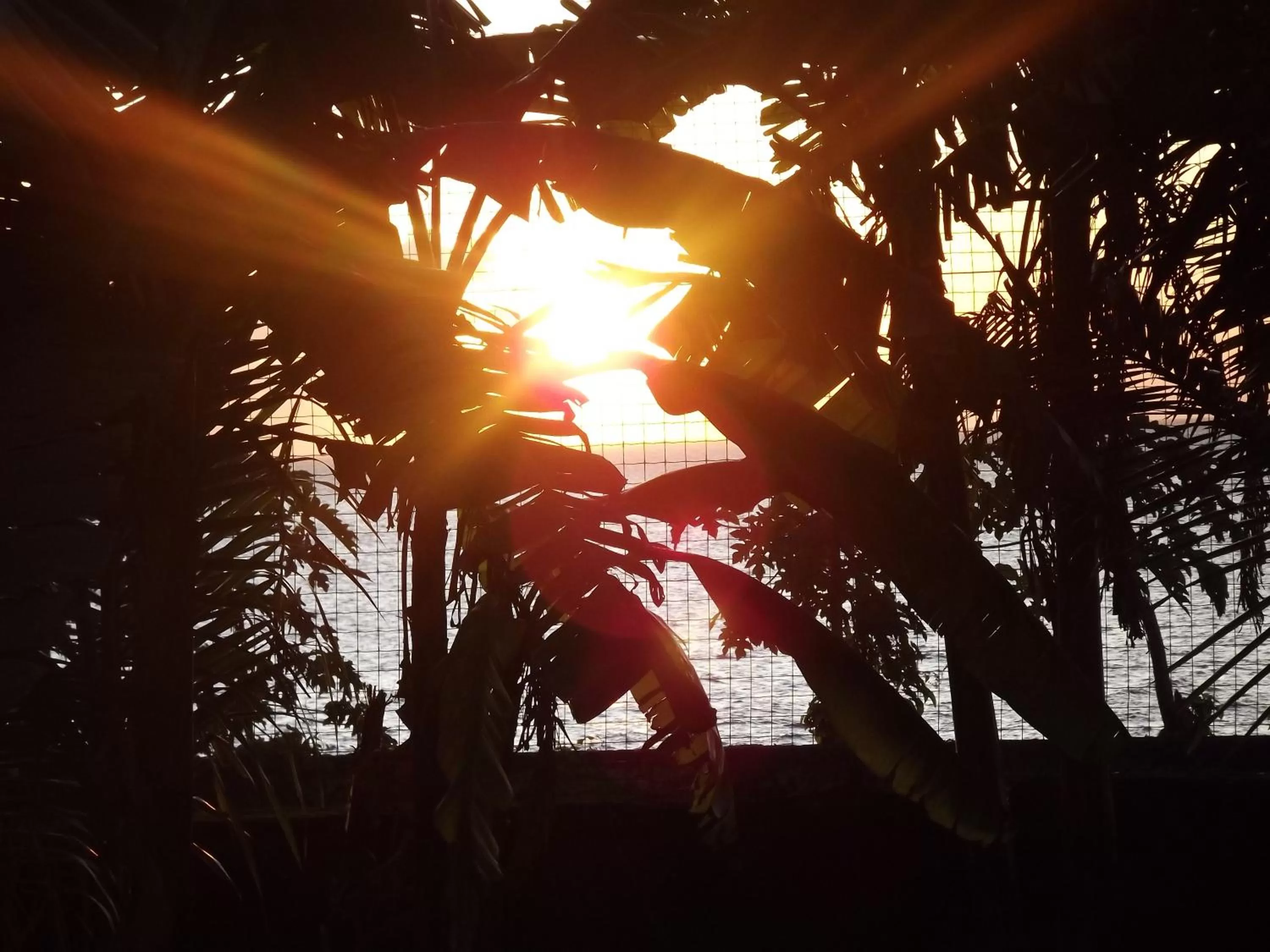 Natural landscape, Sunrise/Sunset in Hôtel La Grillade