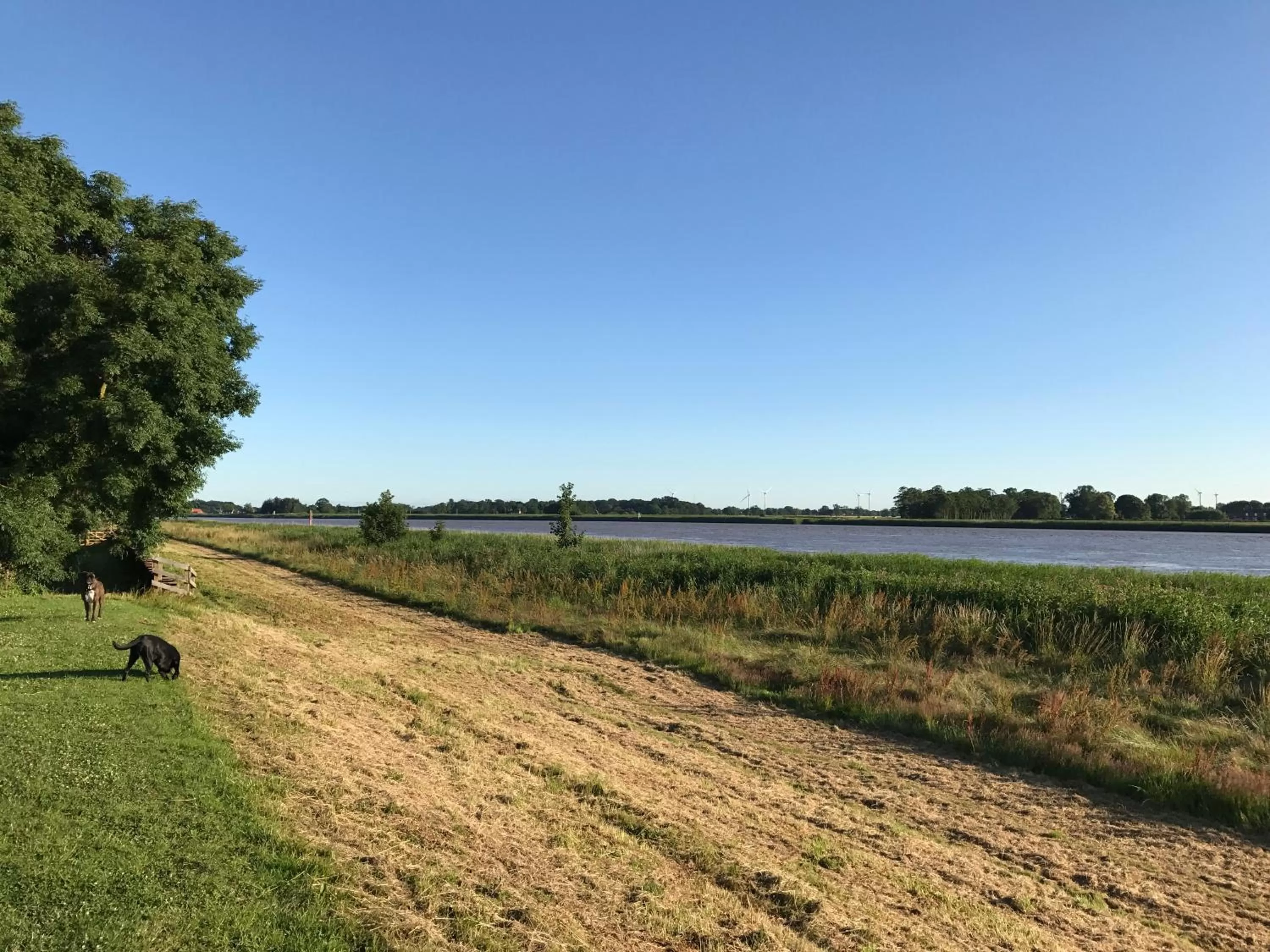 Natural landscape in The Half Moon Inn