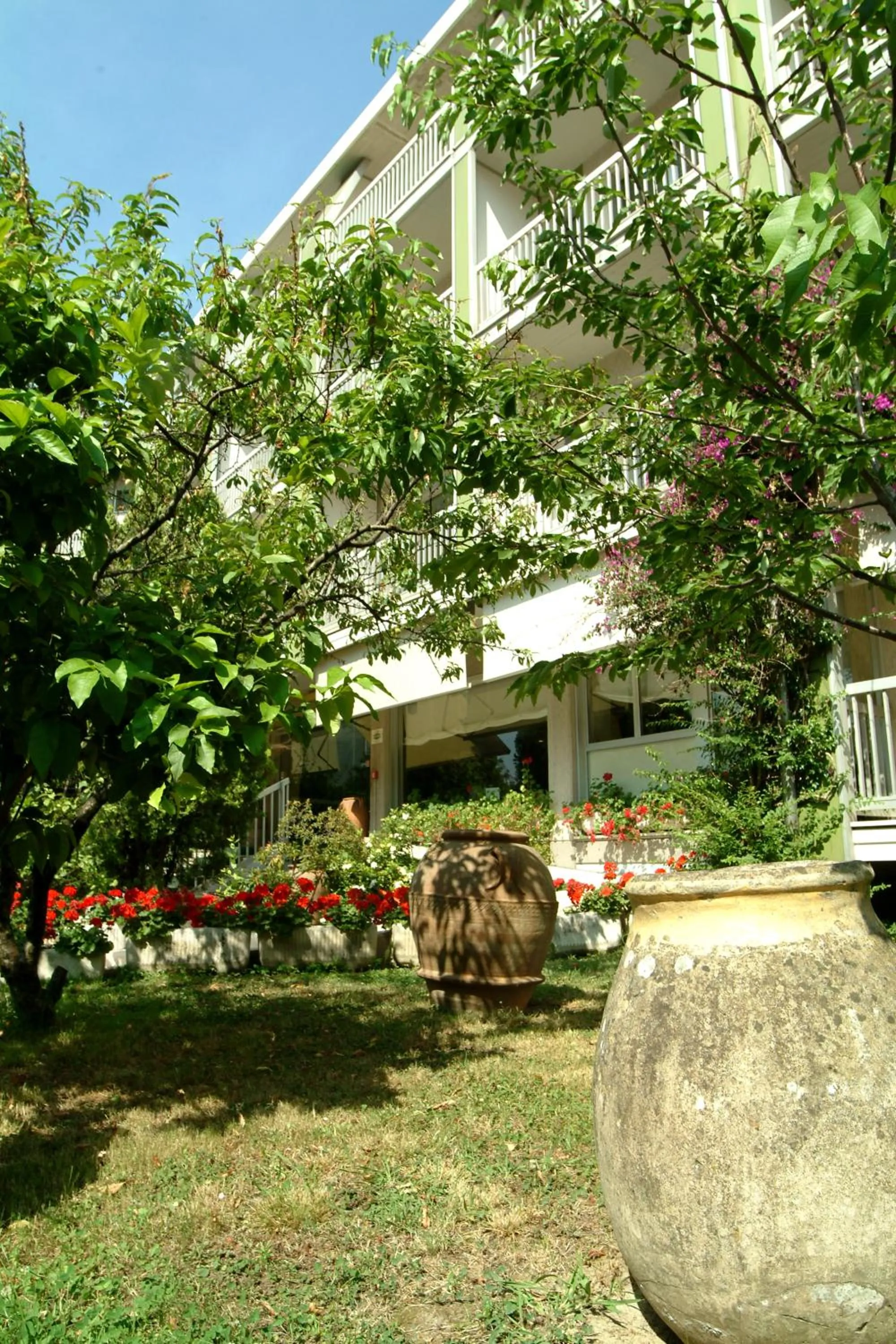 Garden in Hotel Ghironi
