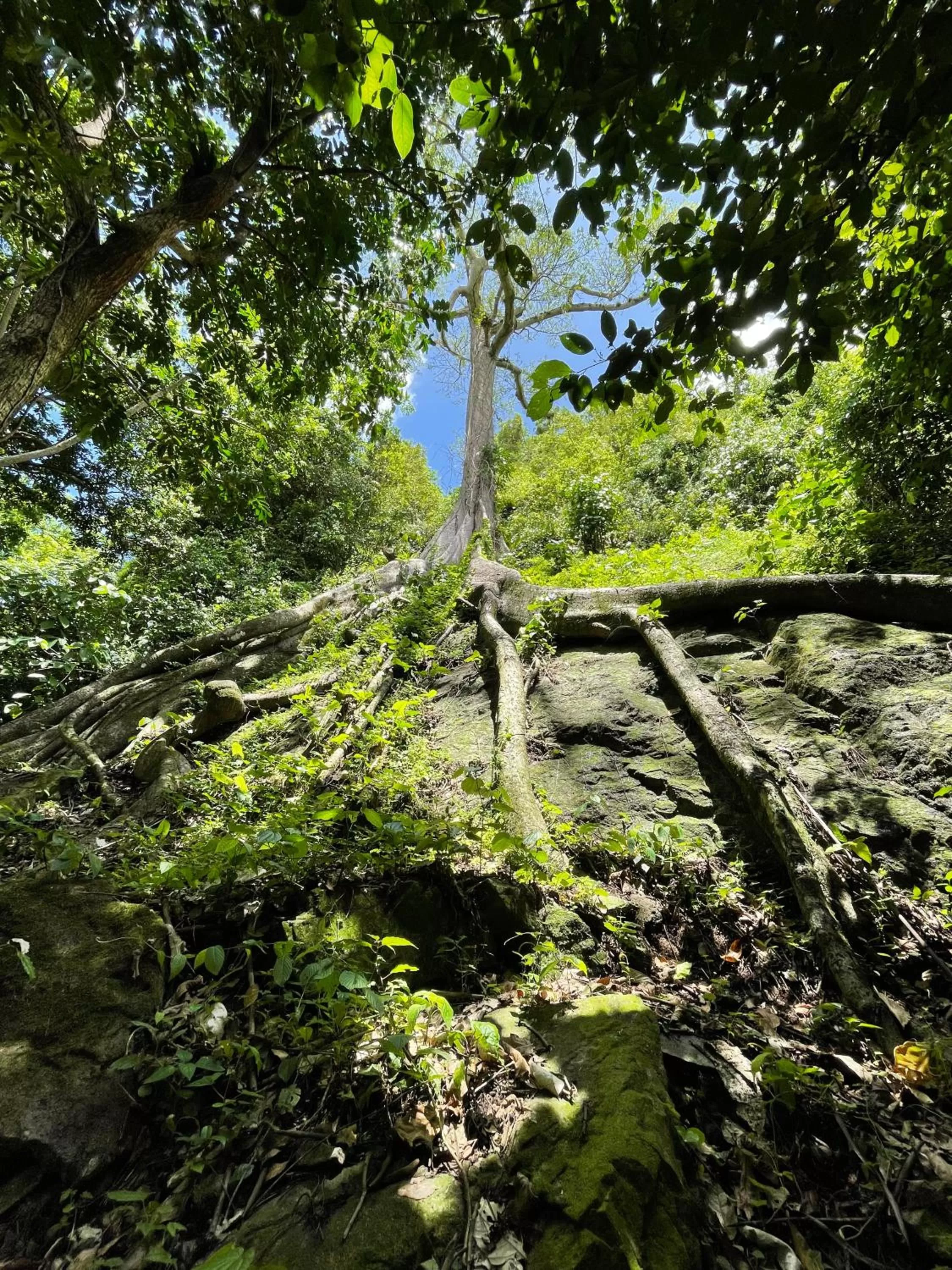 Natural landscape in Casa Grande Mountain Retreat - Adults Only