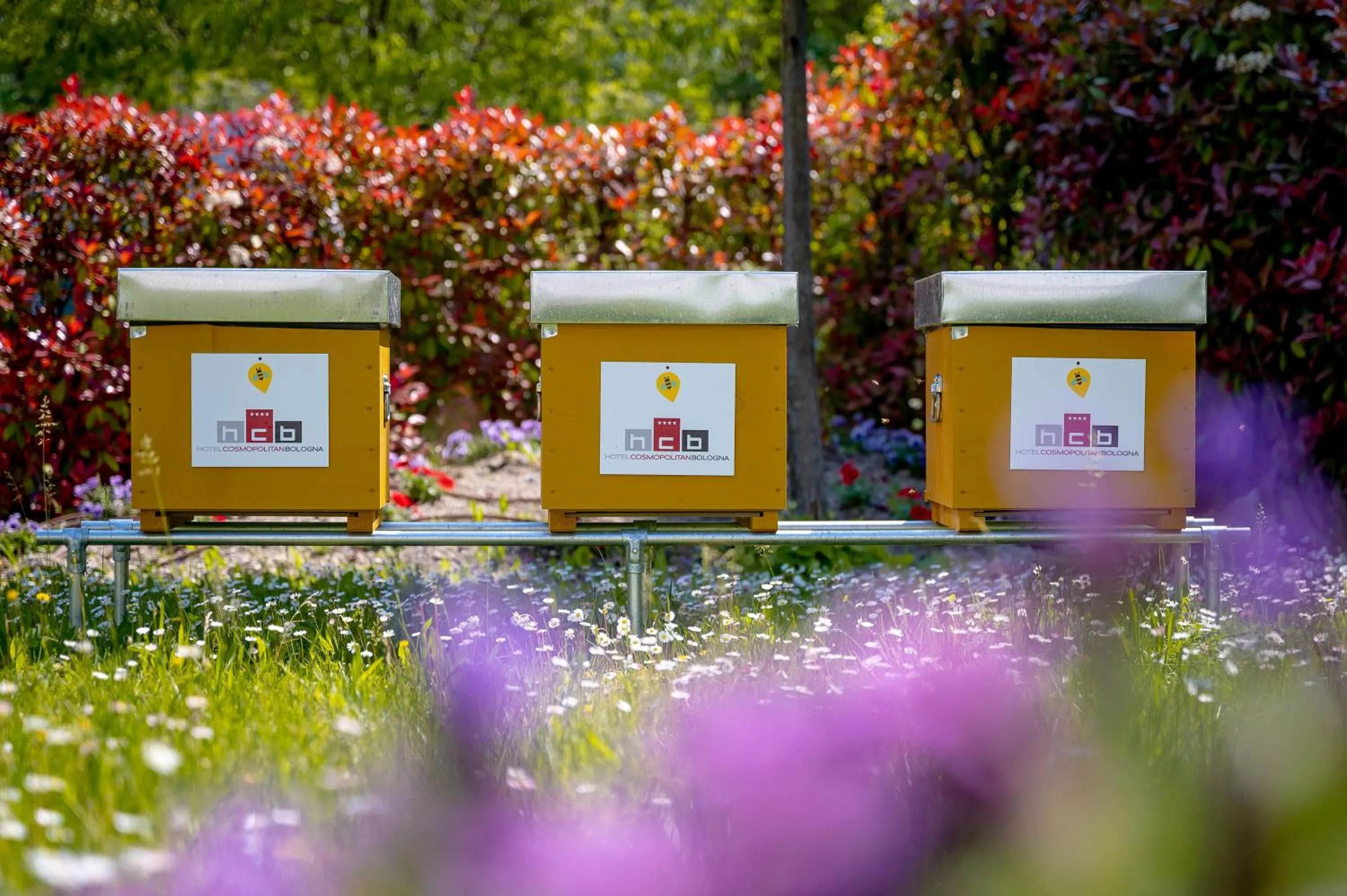 Garden in Hotel Cosmopolitan Bologna