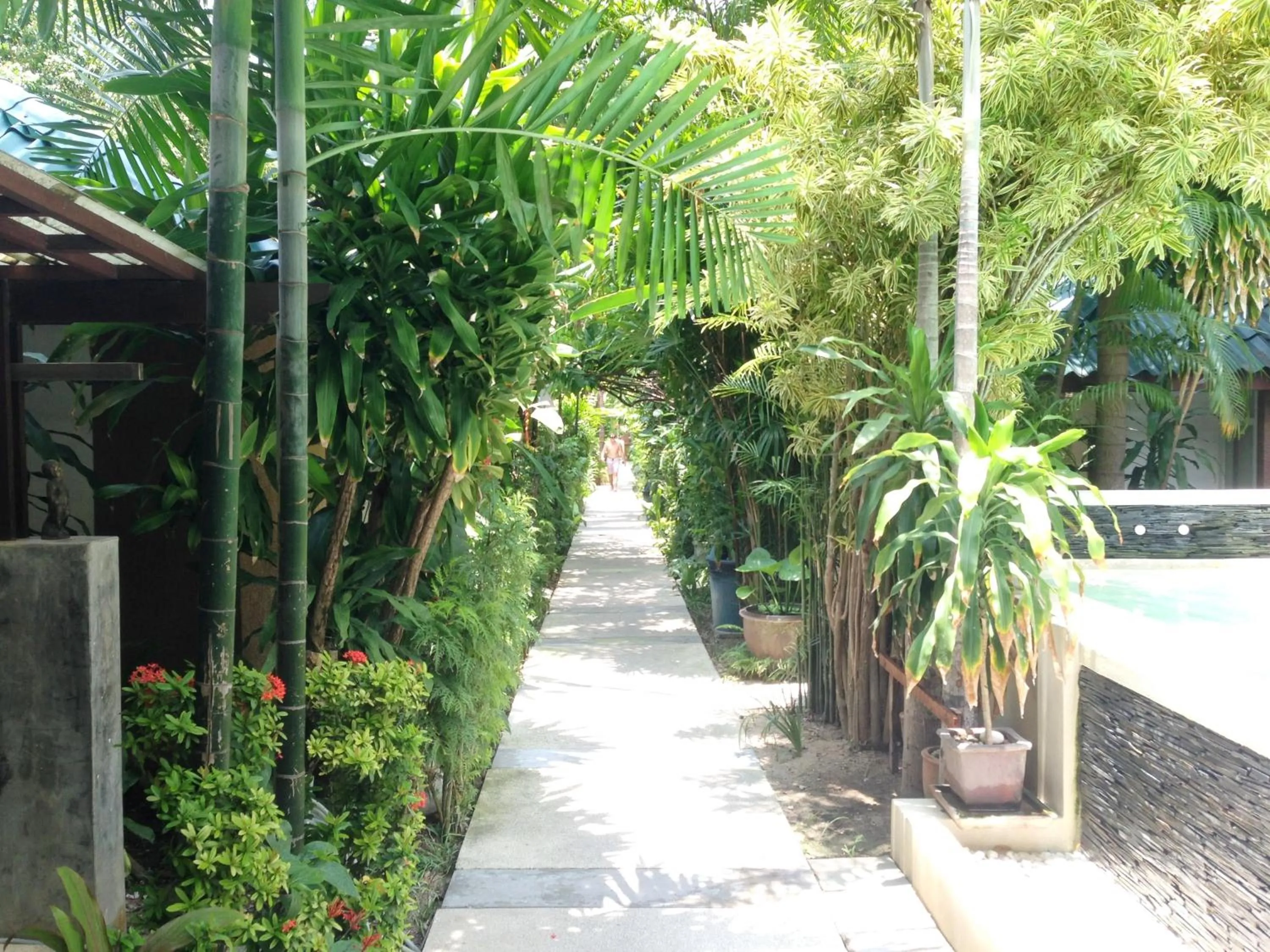 Day in Evergreen Resort