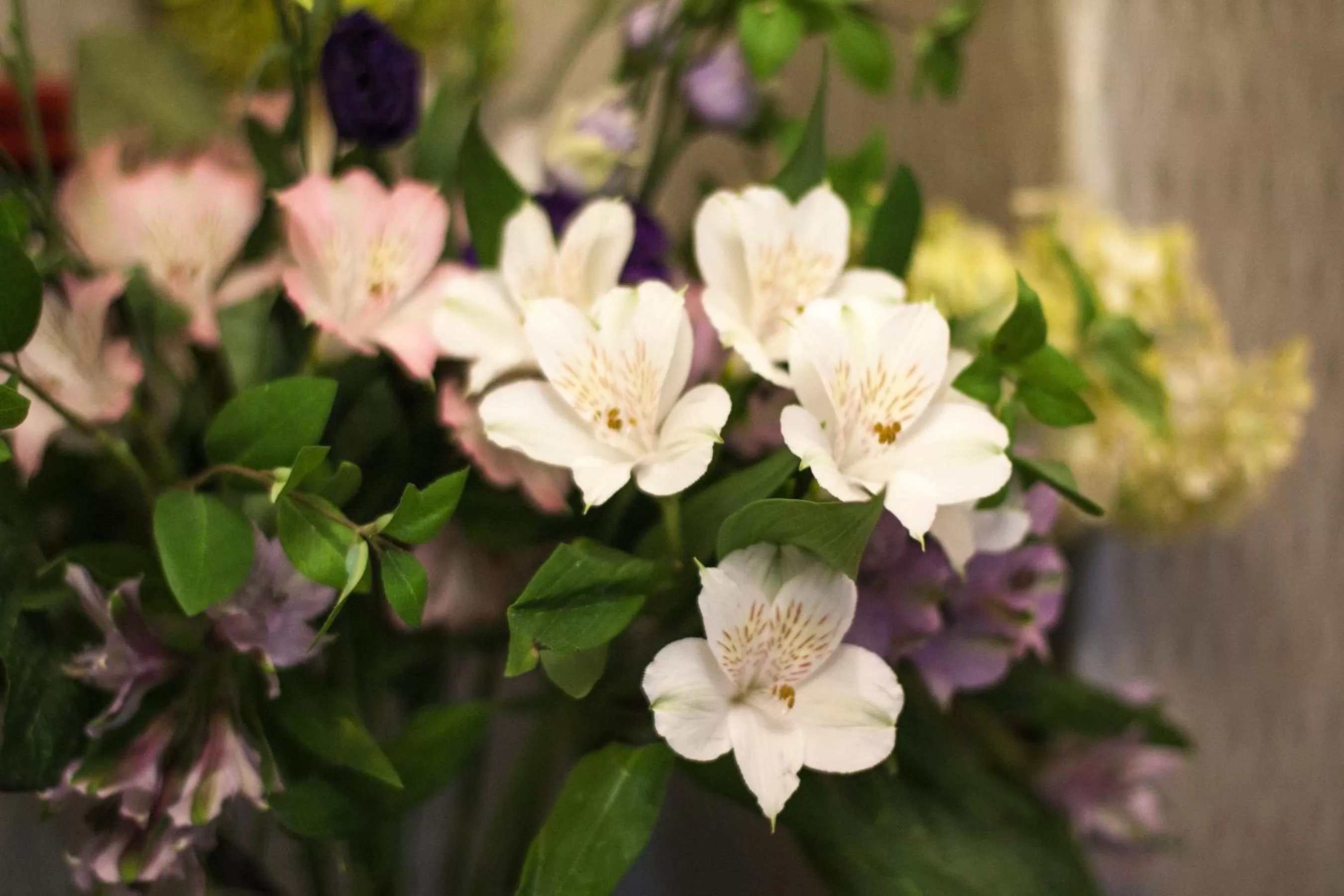 Lobby or reception in Ascot House
