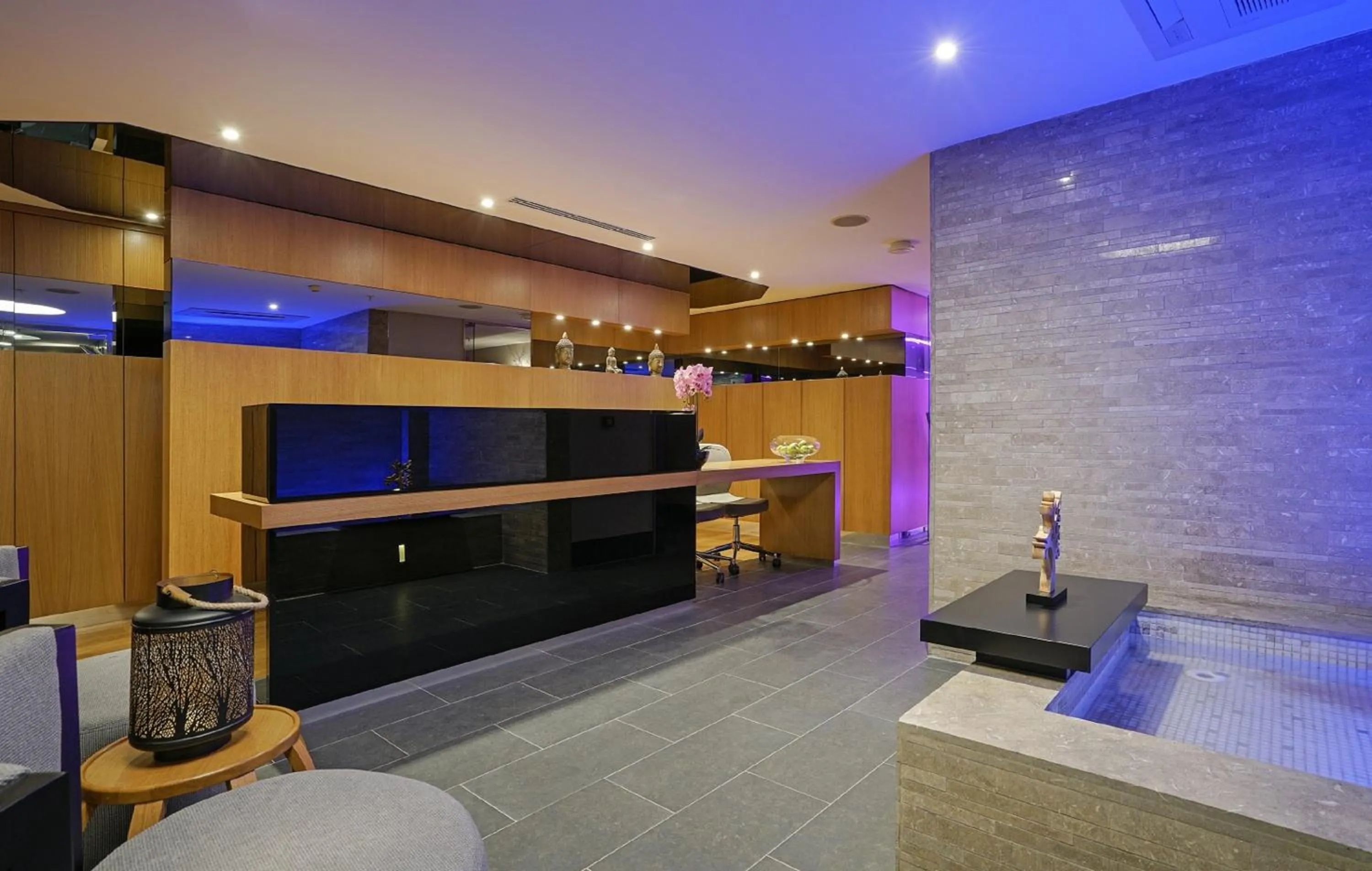 Spa and wellness centre/facilities in Occidental Ankara