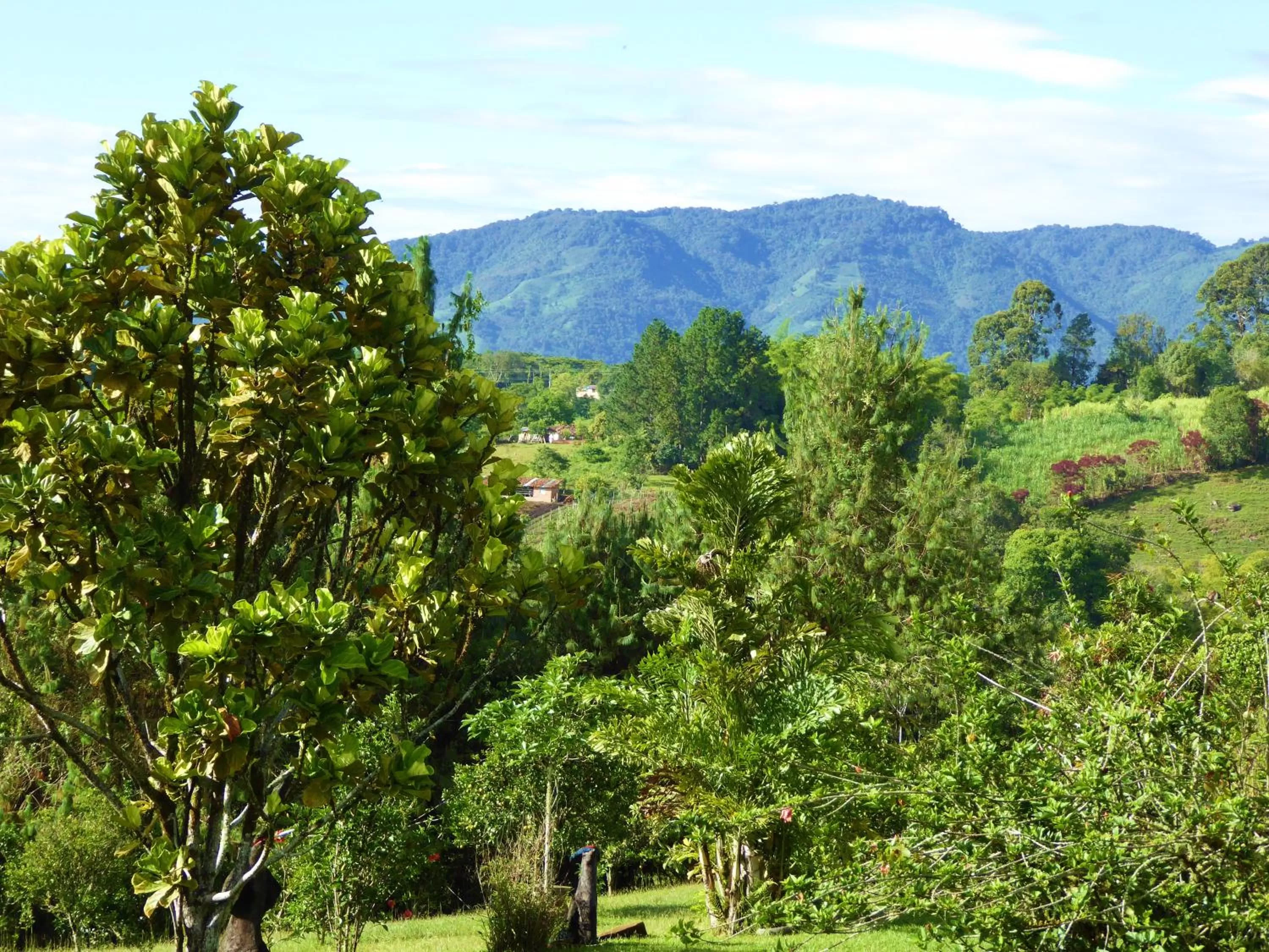Garden in Finca El Cielo