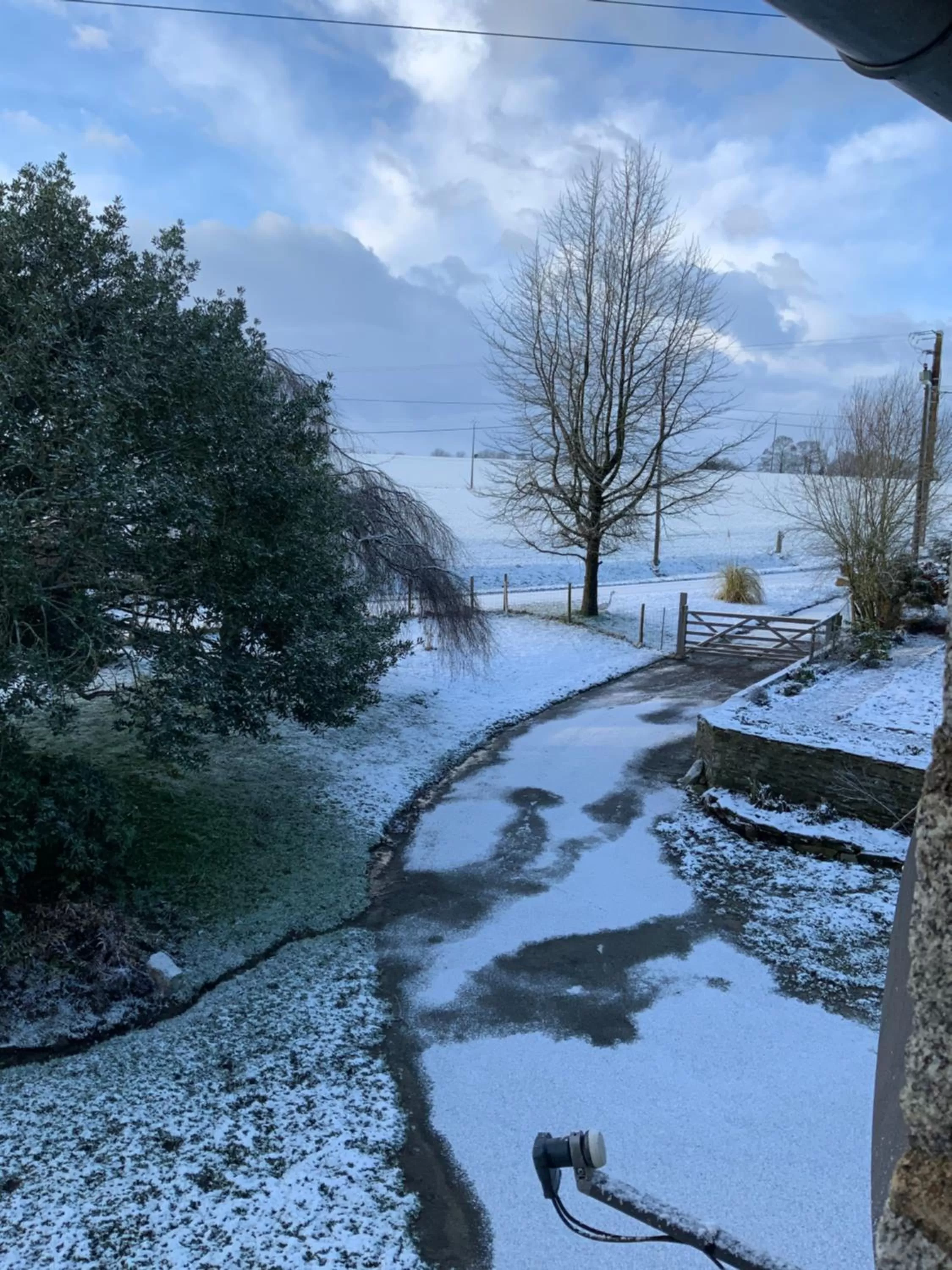 Natural landscape, Winter in Welcoming and peaceful bed and breakfast