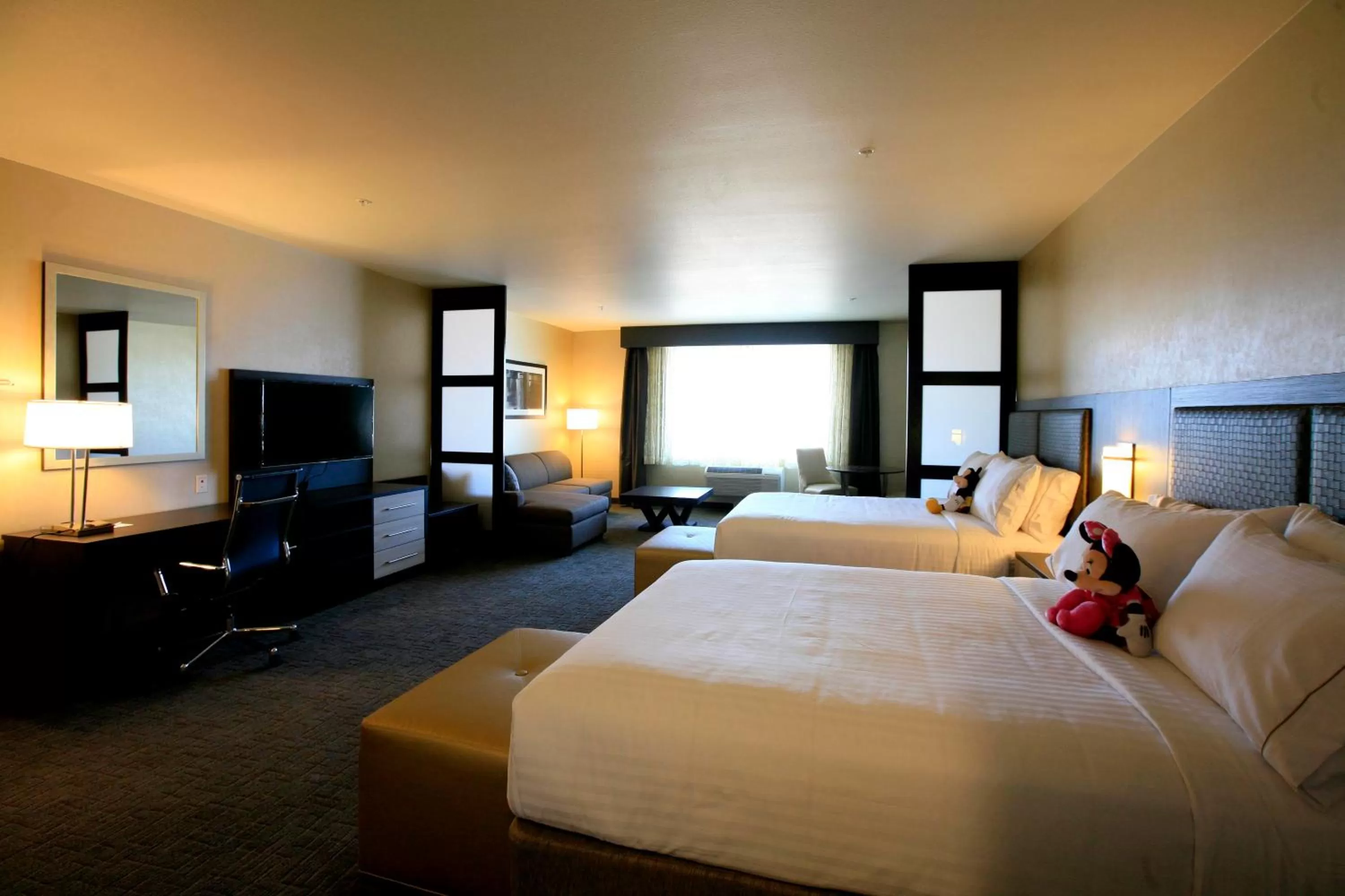 Day, Bed in Holiday Inn Express & Suites Anaheim Resort Area by IHG