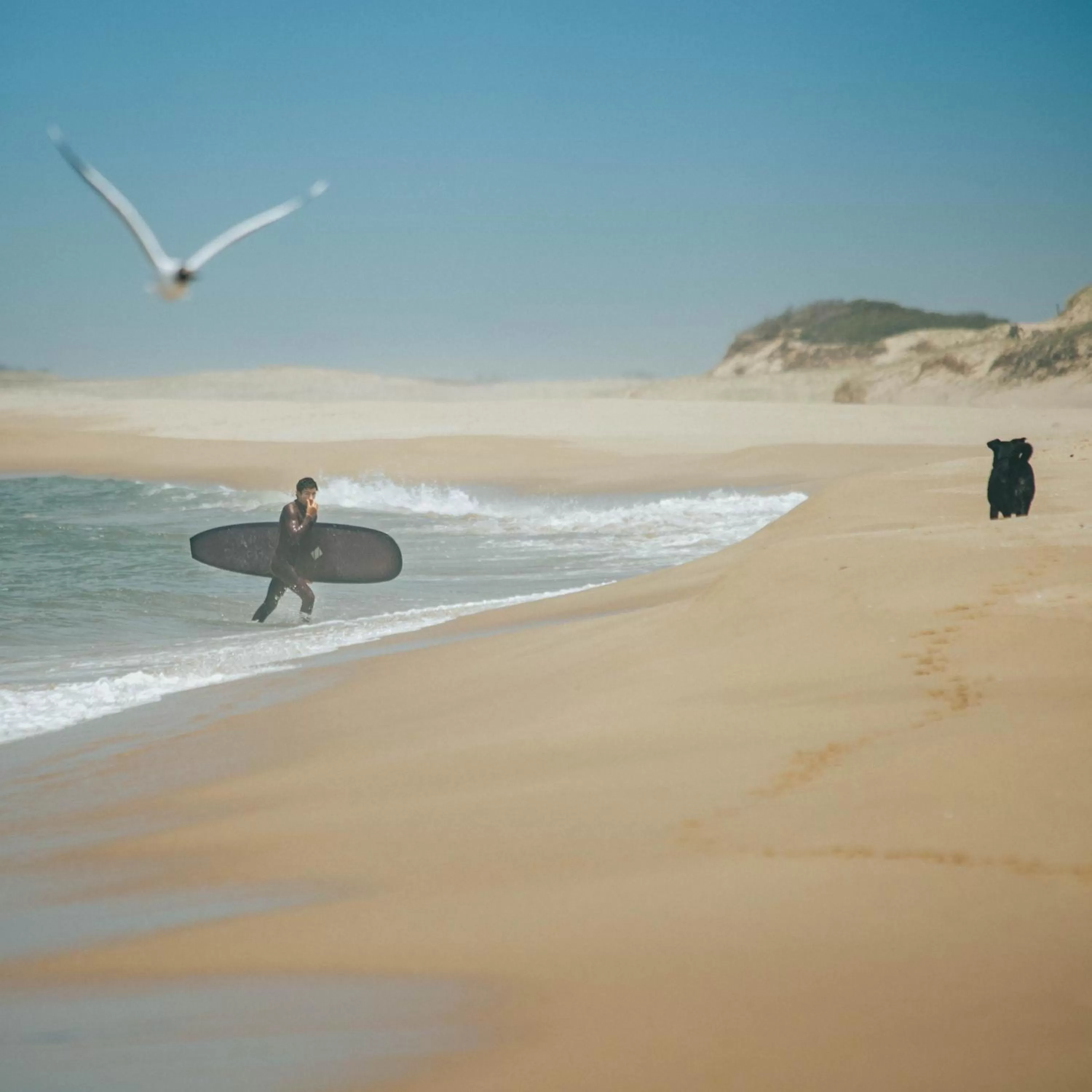 Beach in Altos de la Serena Apart Hotel