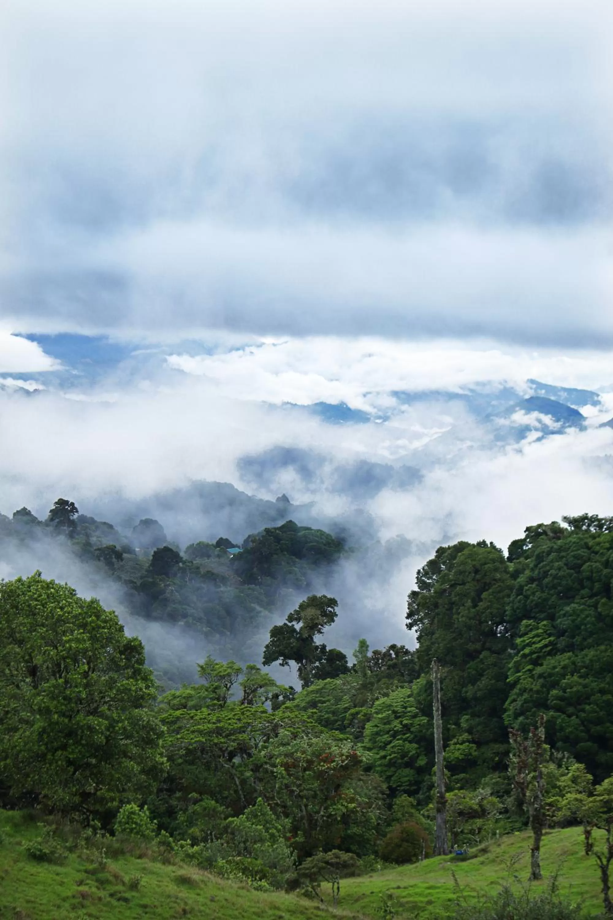 Iyok Ami (Madre Tierra)