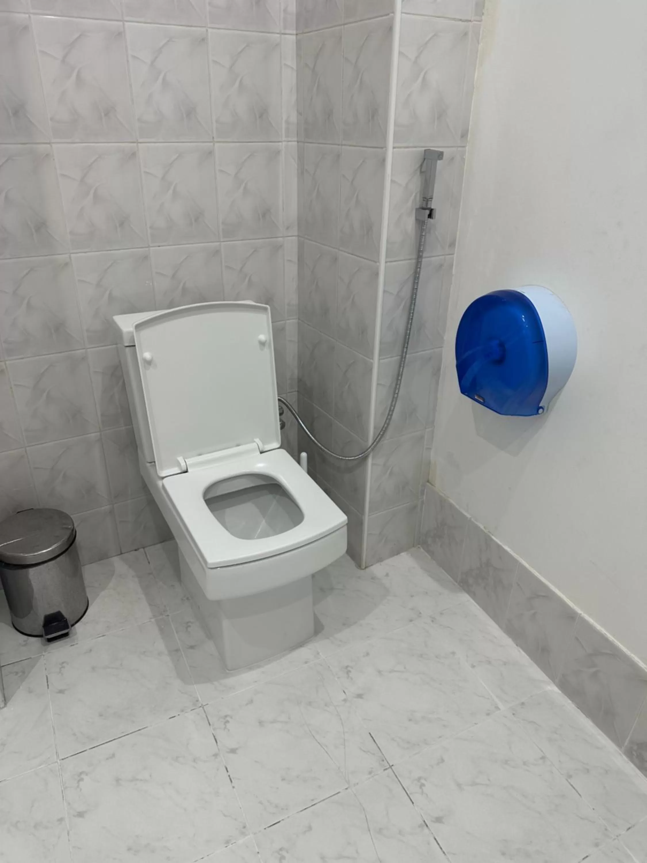 Toilet, Bathroom in villa old sololaki