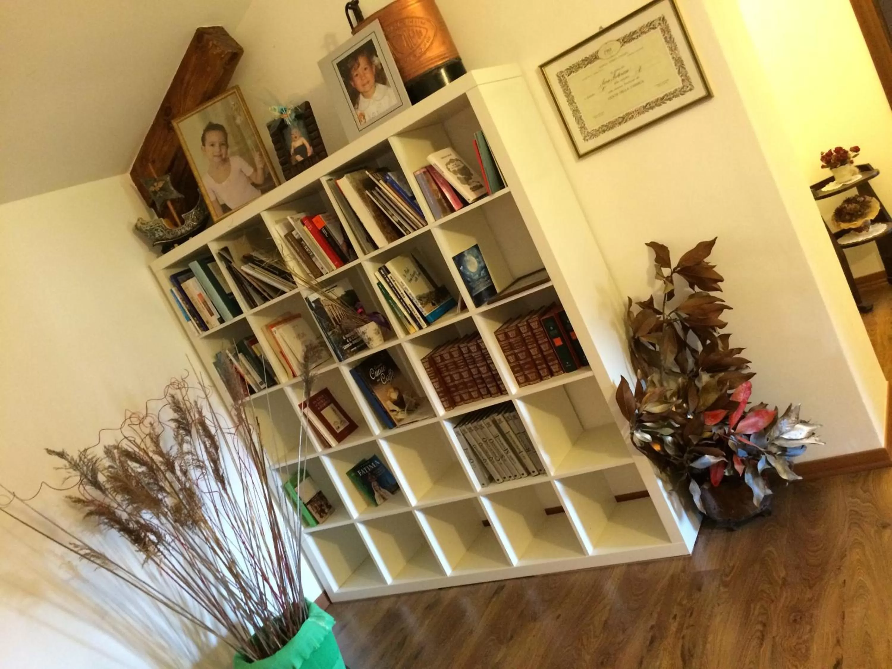 Library in Casa Pellis