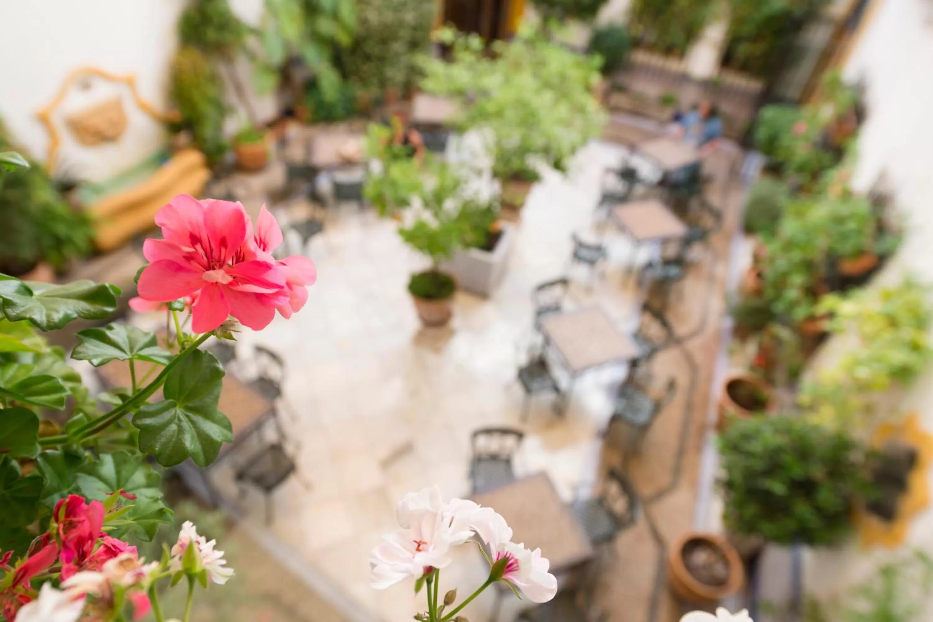 Patio in Eurostars Maimonides