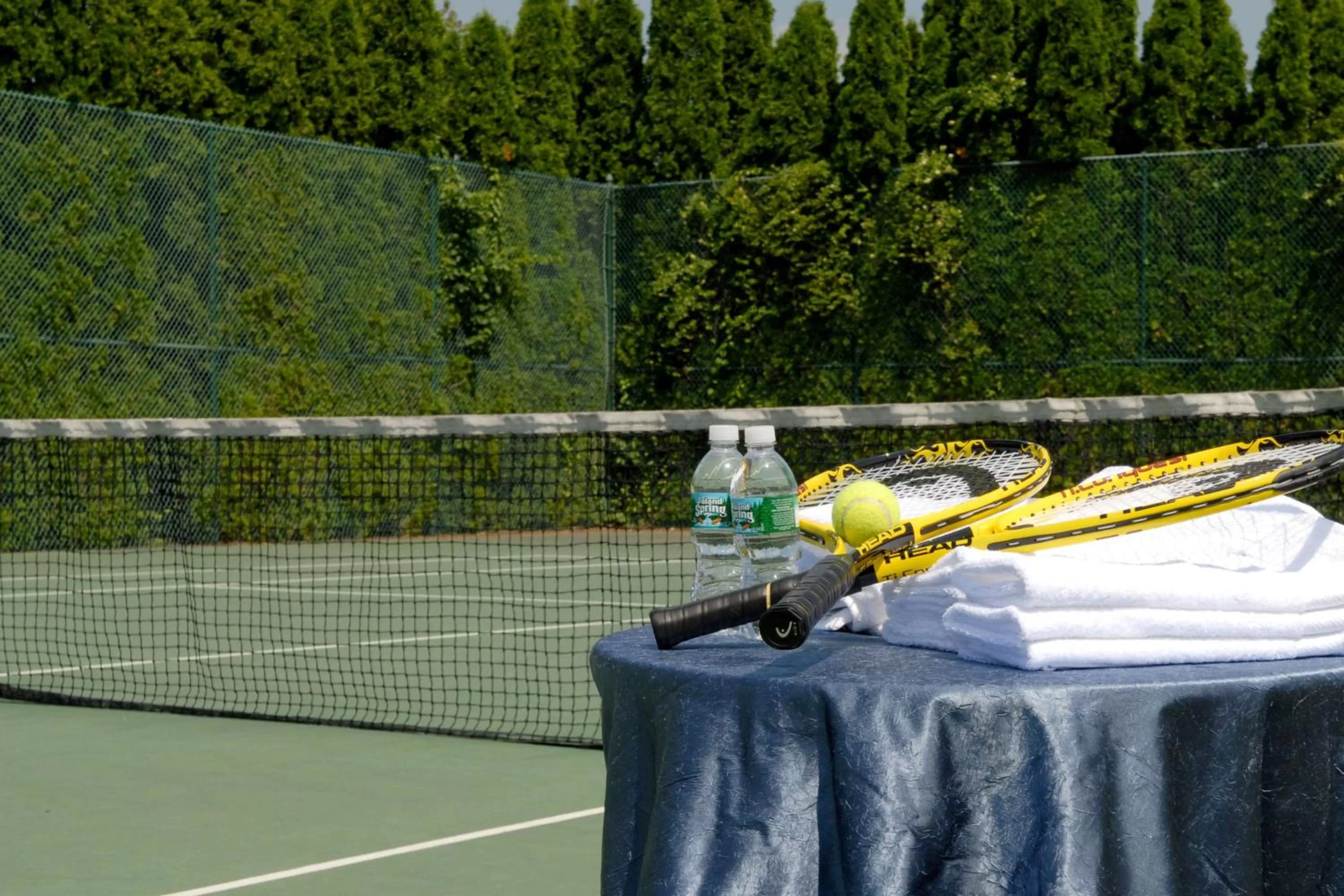 Sports in Hilton Long Island/Huntington