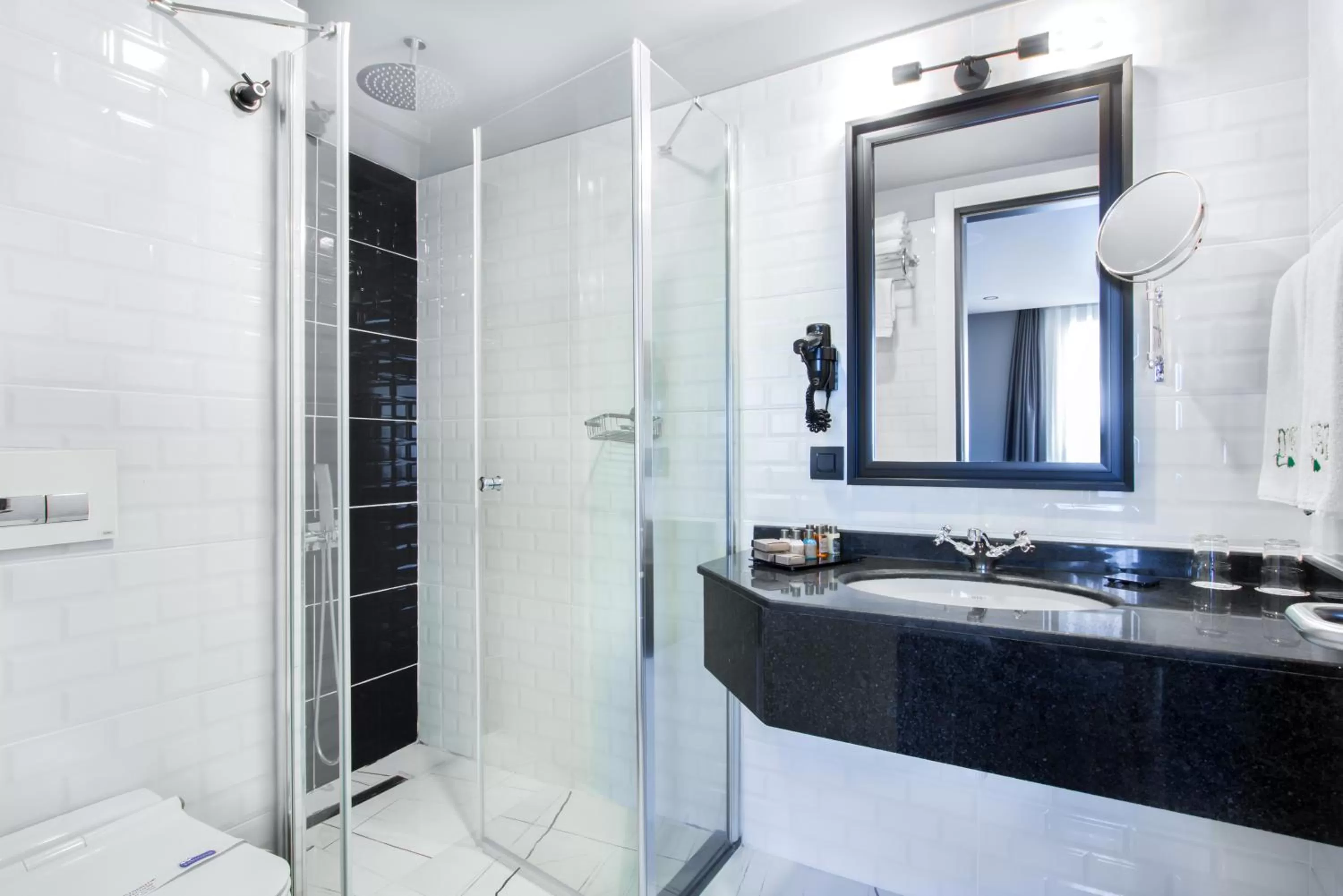 Toilet in Hotel Poem