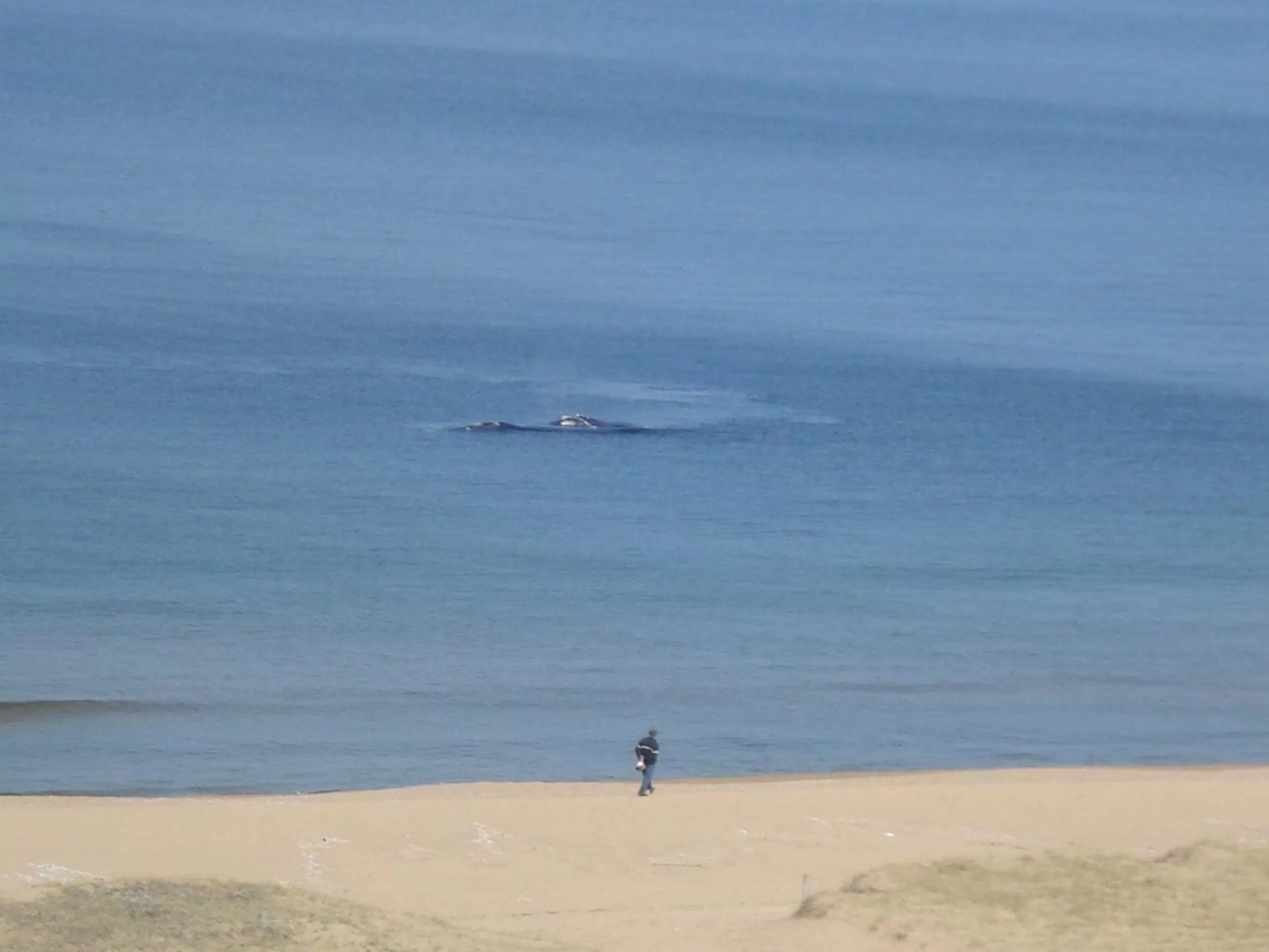 View (from property/room) in BDA Hotel & Spa