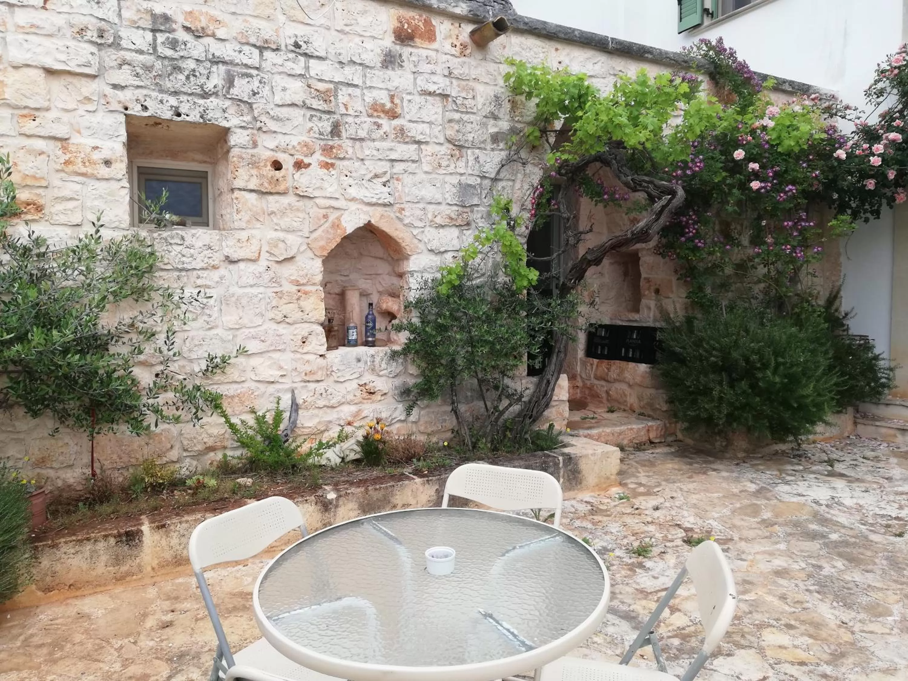 B&B Giovannarolla Green House