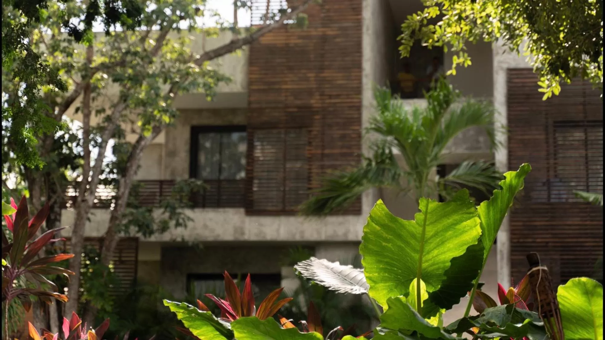 Property building in Panacea Condo Tulum