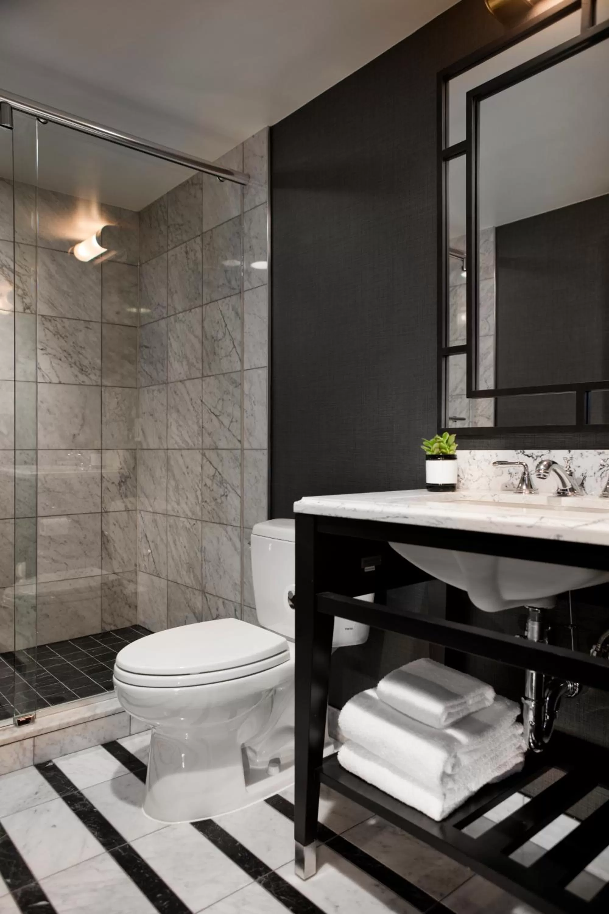 Shower in Viceroy Washington DC