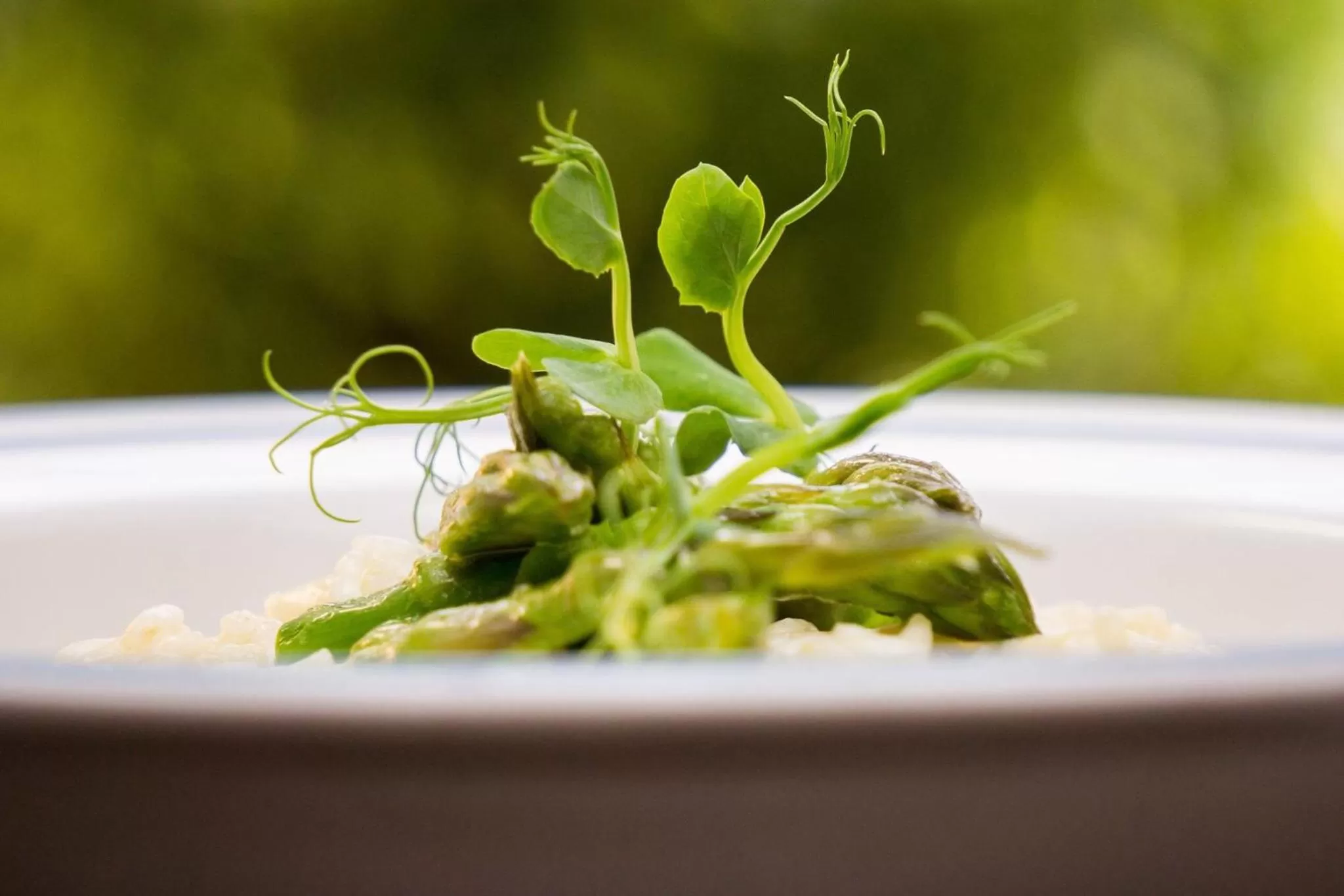 Food and drinks in Nest