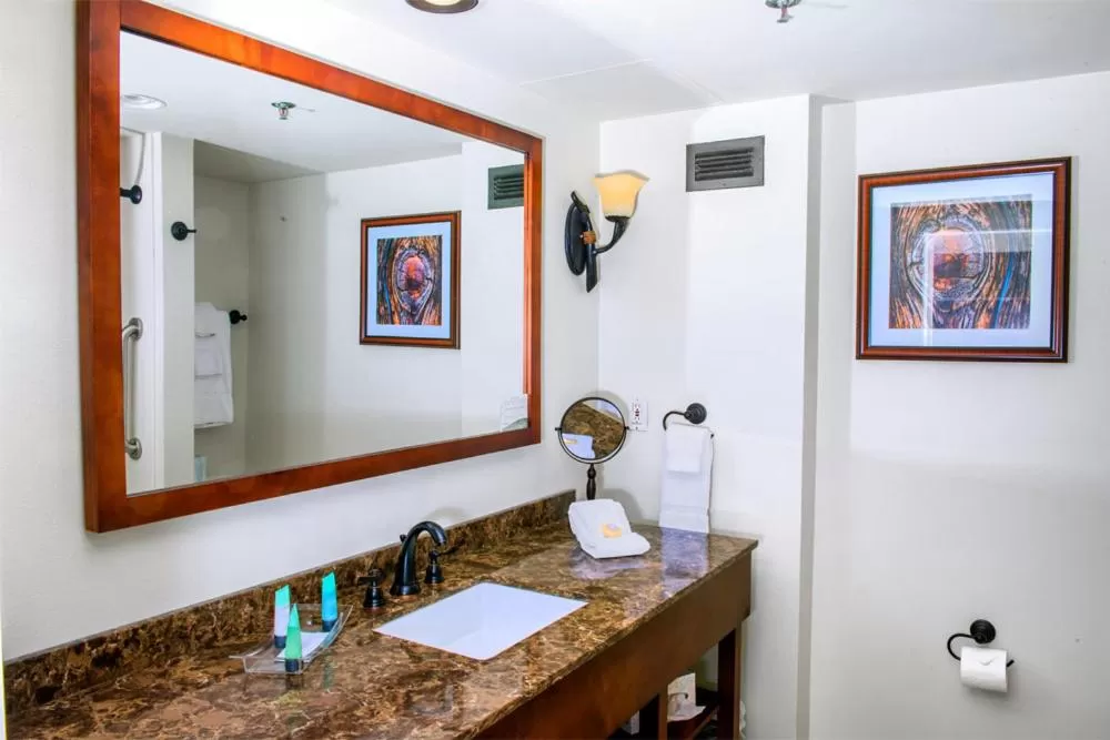 Bathroom in Brasstown Valley Resort & Spa