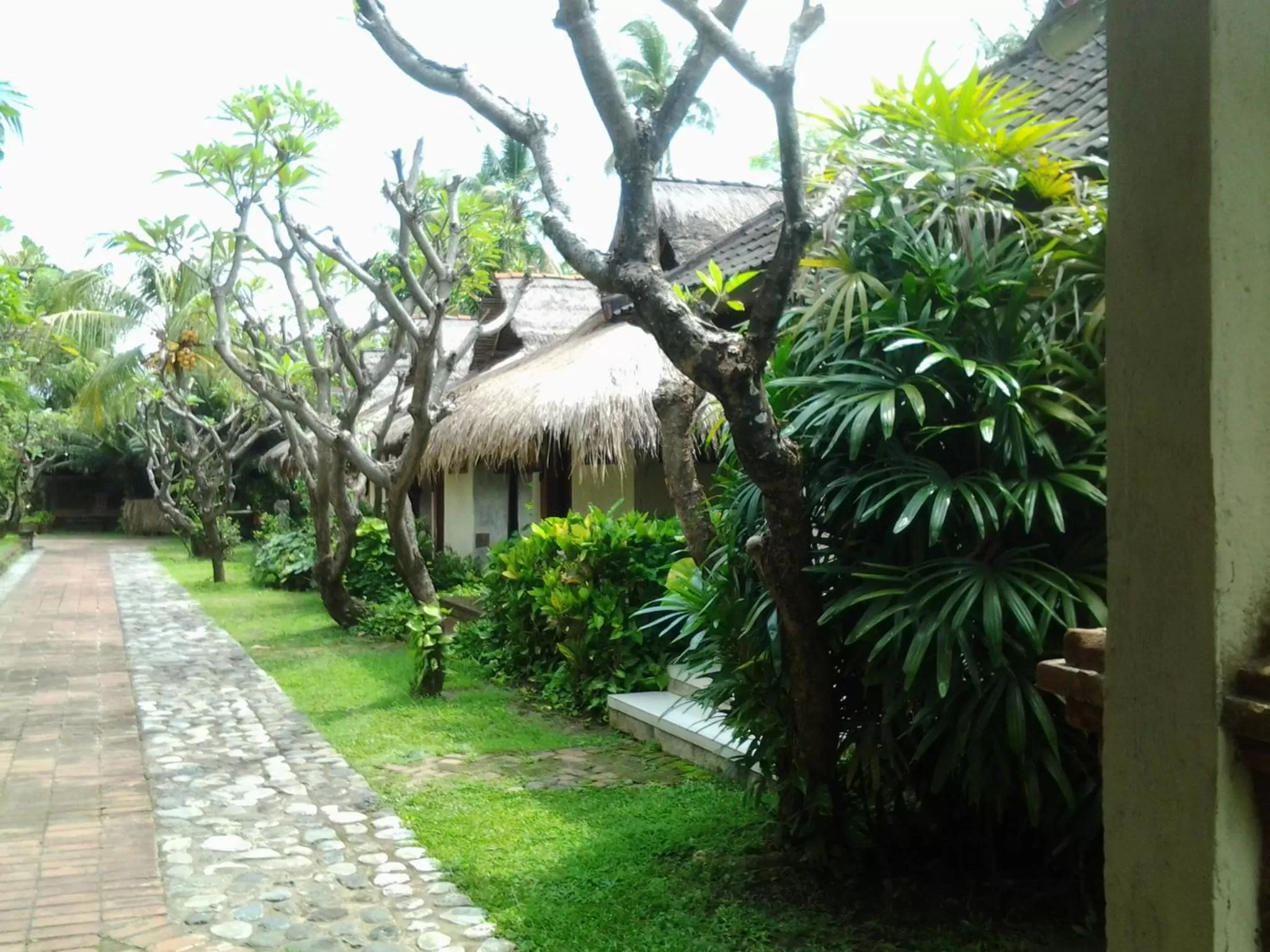 Garden in Nirwana Sea Side Cottages