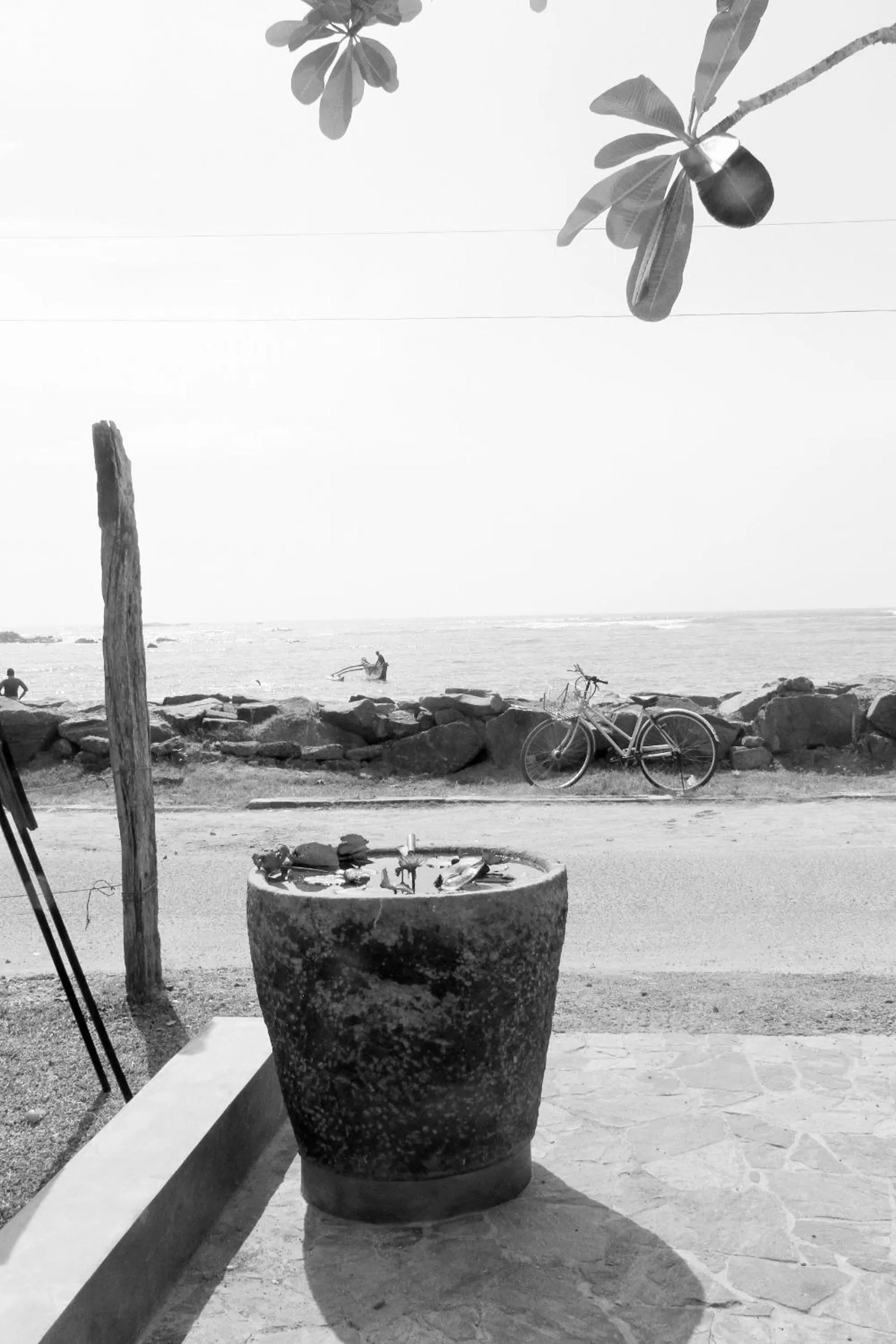 Other in Culture Resort