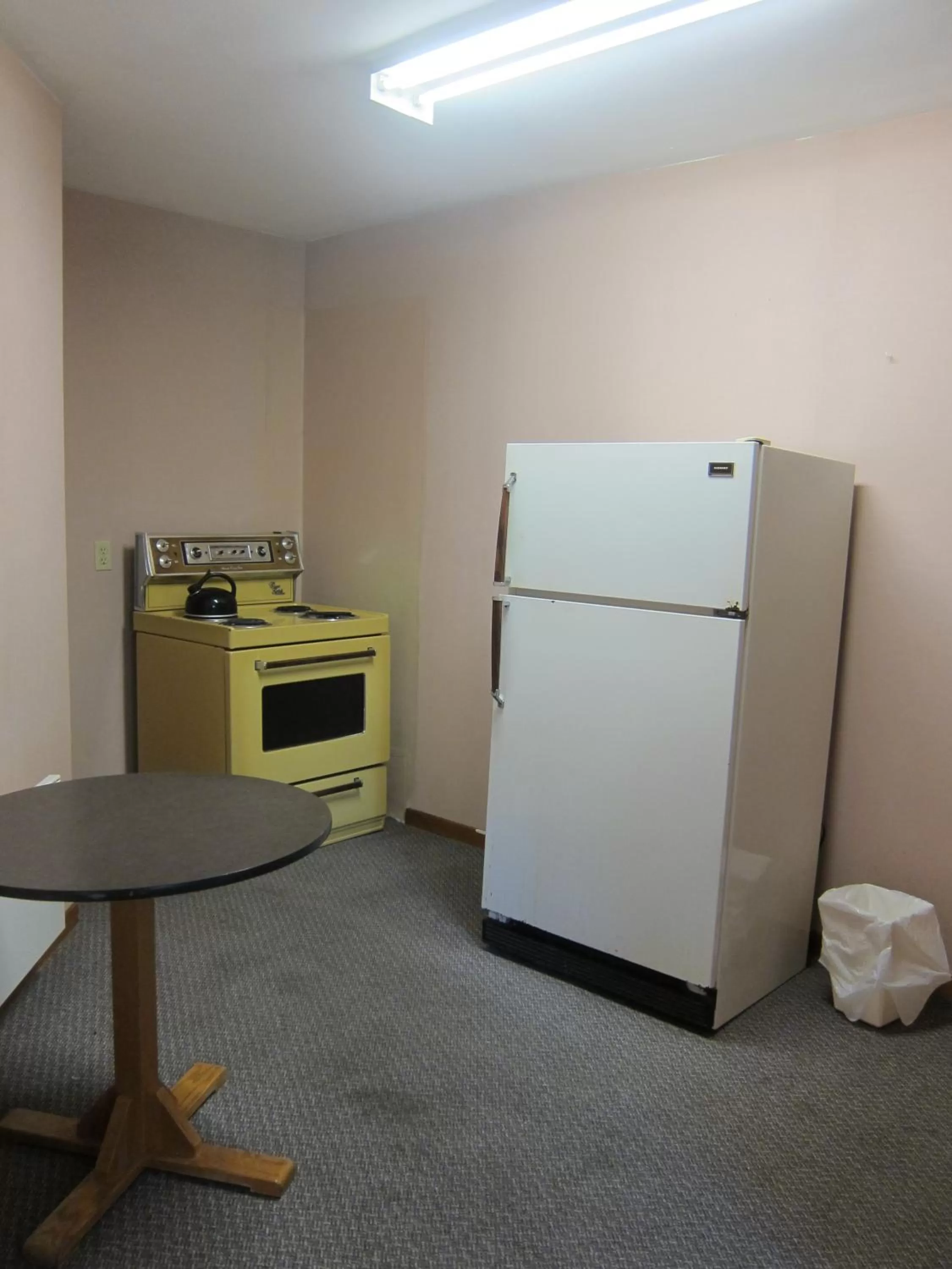 Kitchen or kitchenette in Shine Motel
