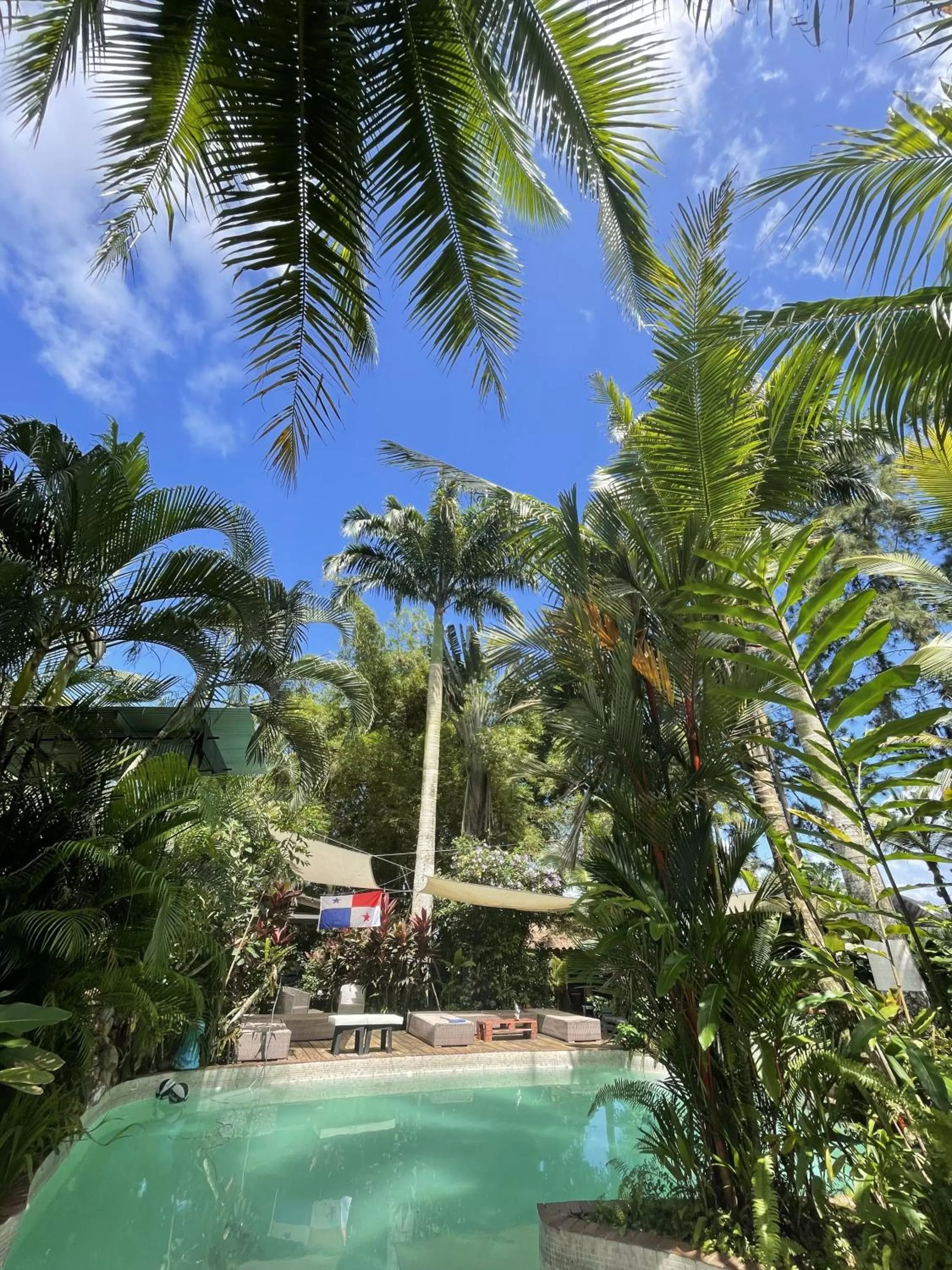 Natural landscape, Swimming Pool in Monkey Lodge Panama