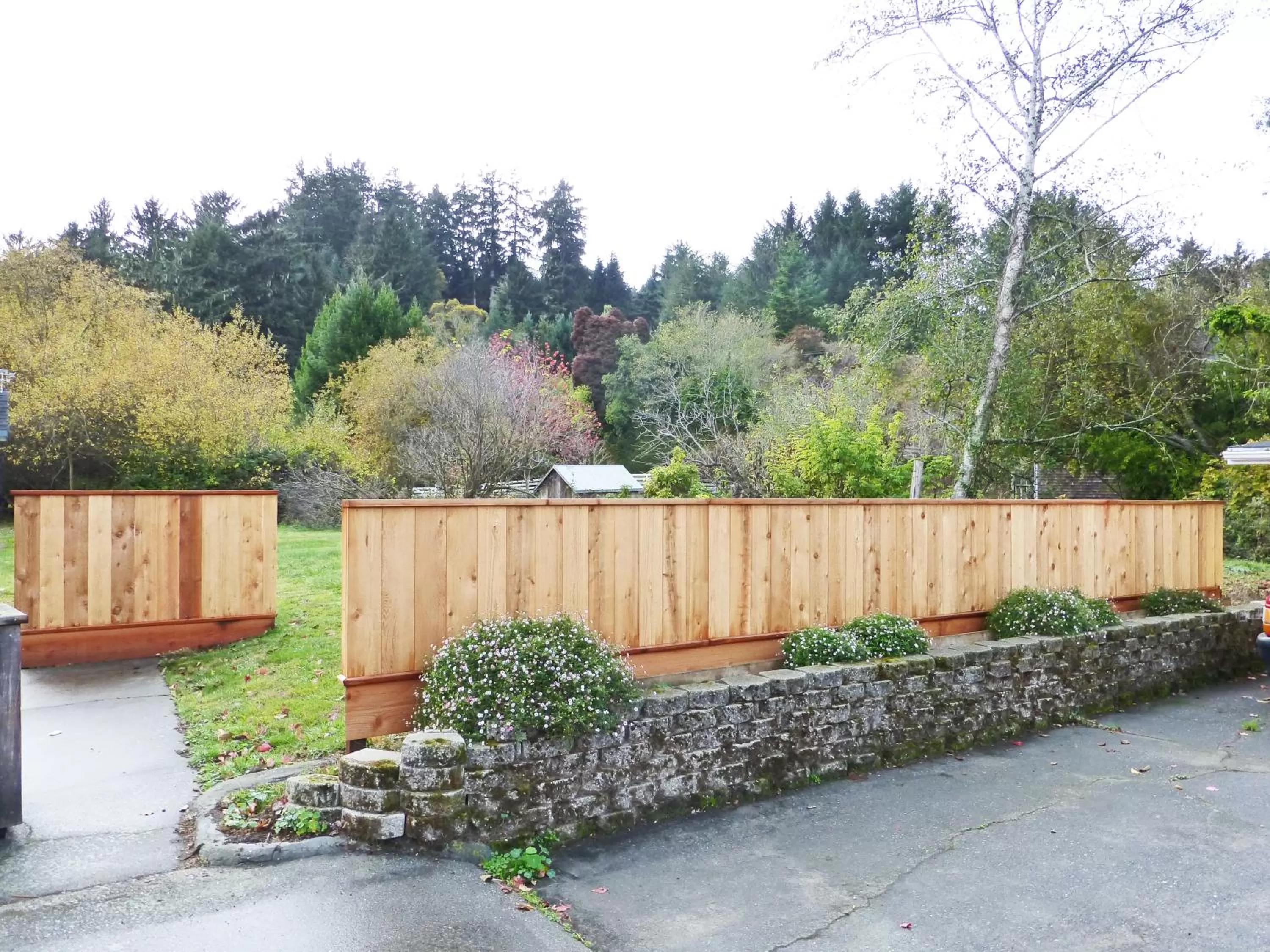 Day in Redwood Suites