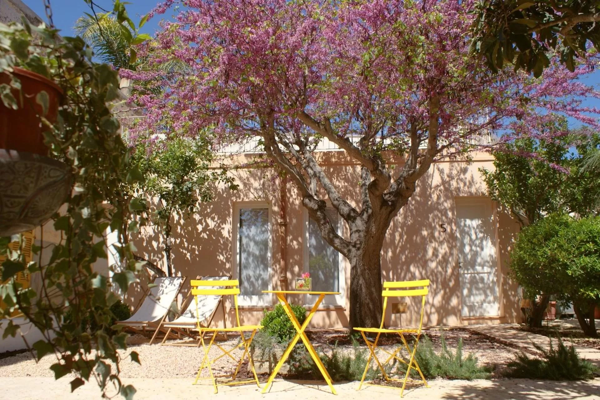 Garden in Hotel Boutique Can Pocovi