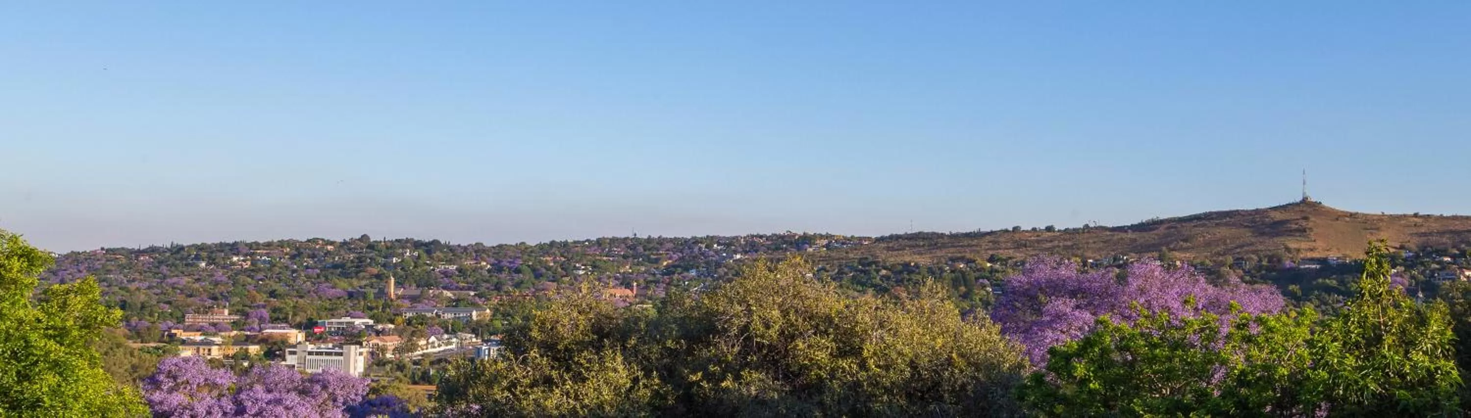 City view in La Vida Luka - Luxury Guesthouse