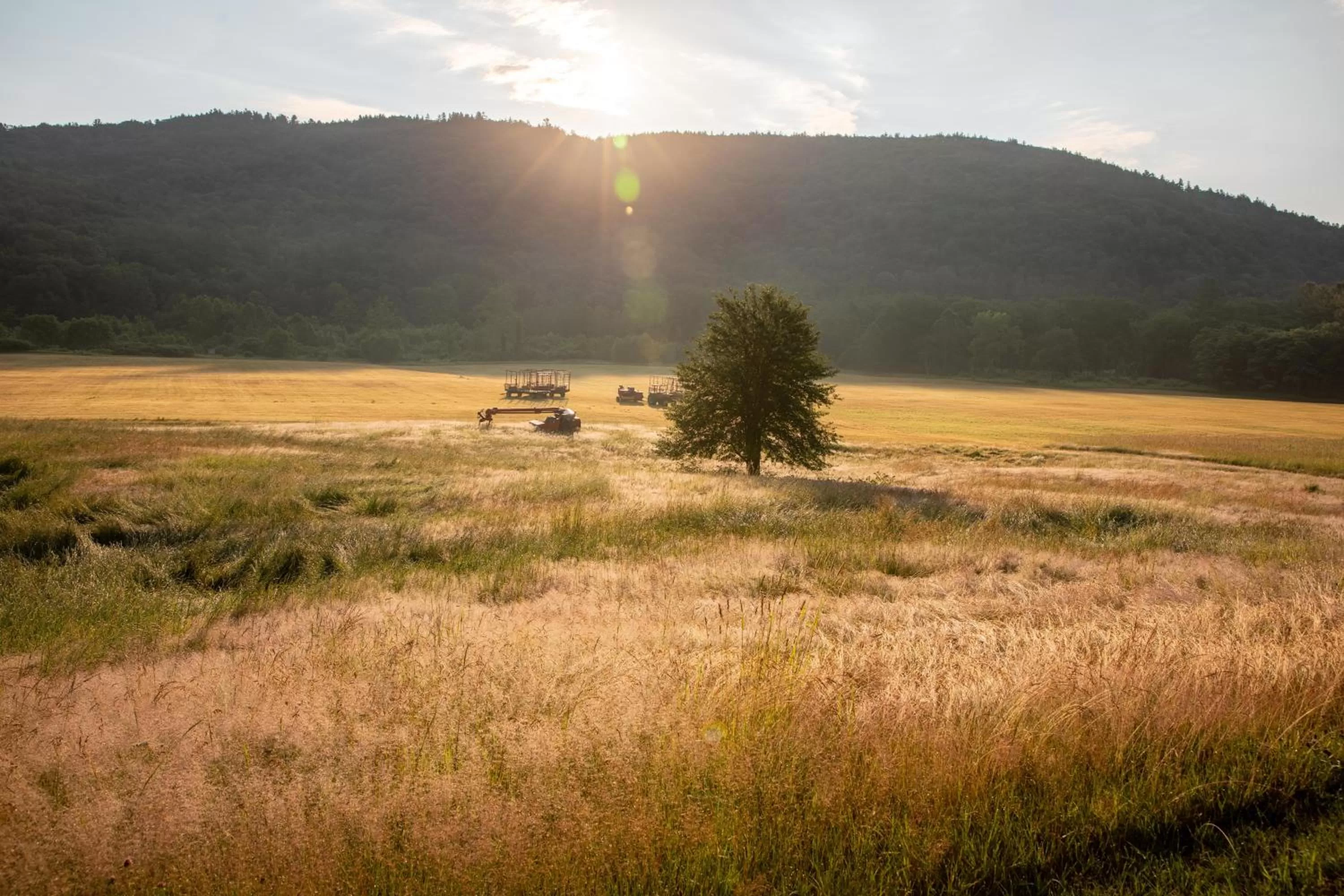 Summer in The Lodge at West River