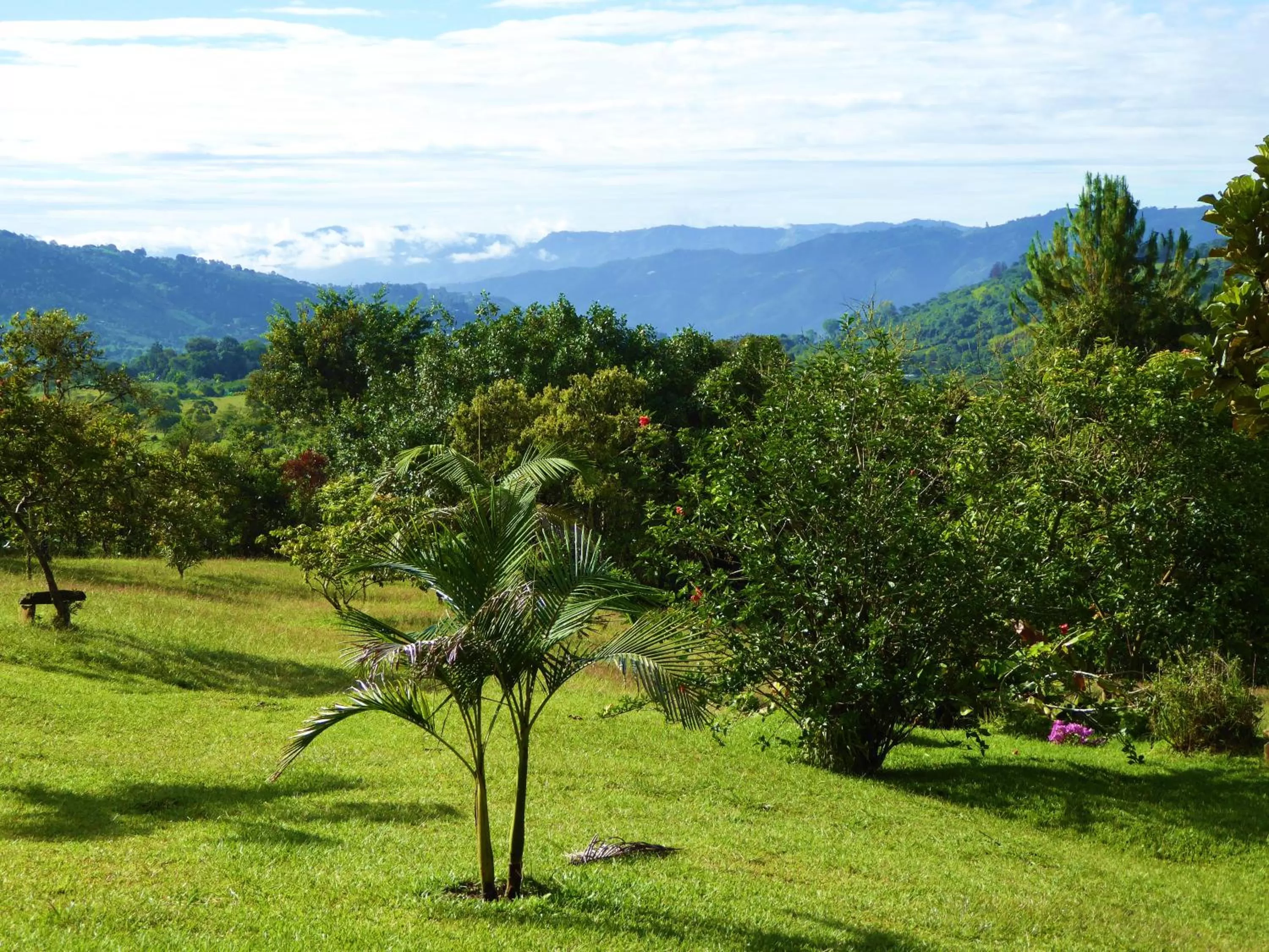 Garden in Finca El Cielo