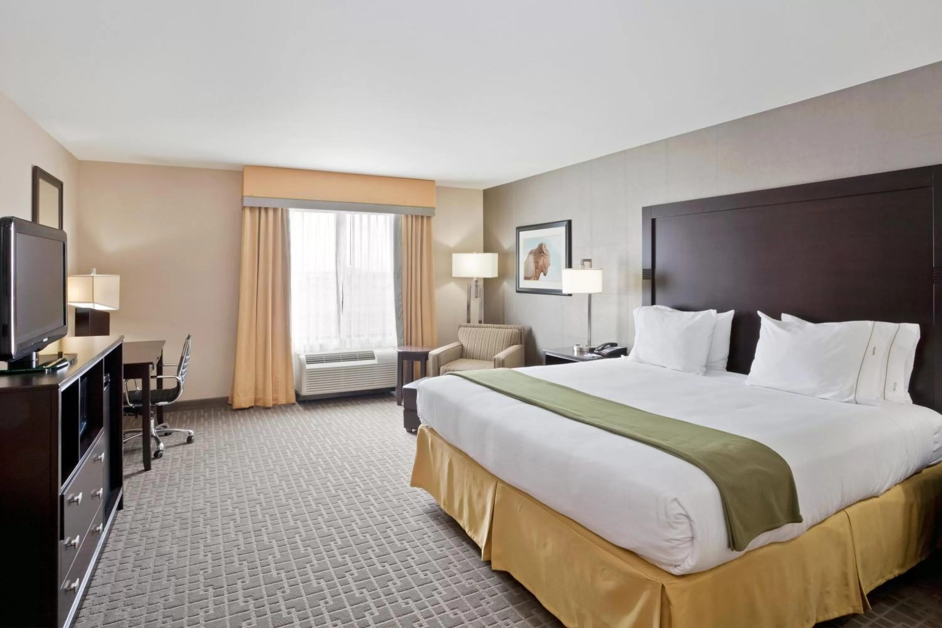 Photo of the whole room, Bed in Holiday Inn Express Hays by IHG