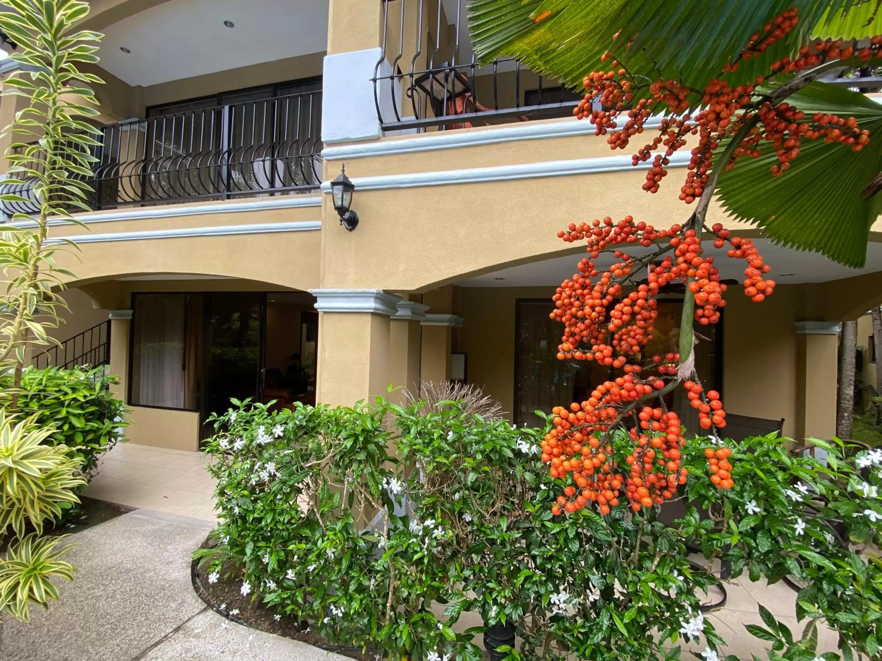Patio in Monte Carlo Luxury Condominiums